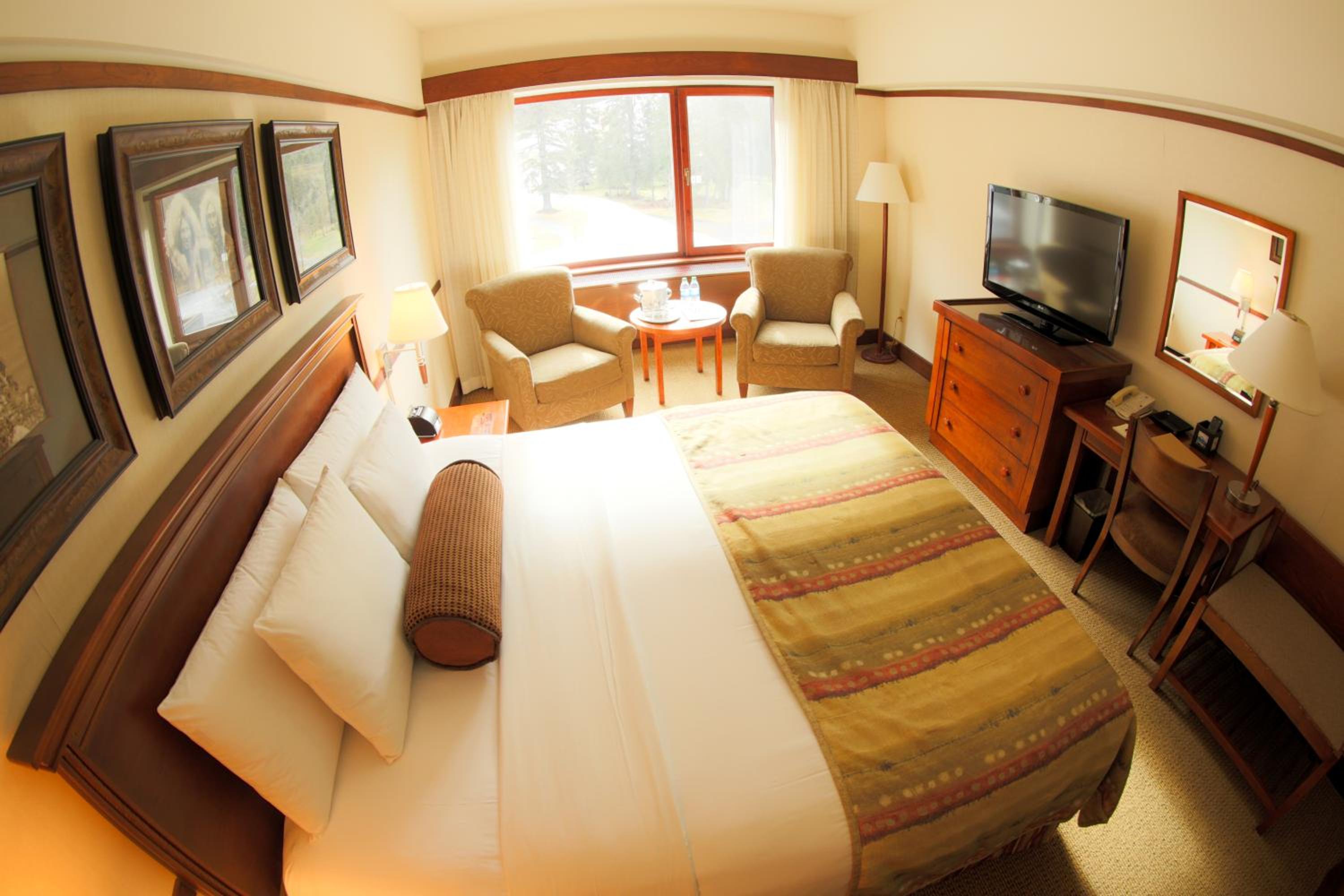 Deluxe King Room photo 3