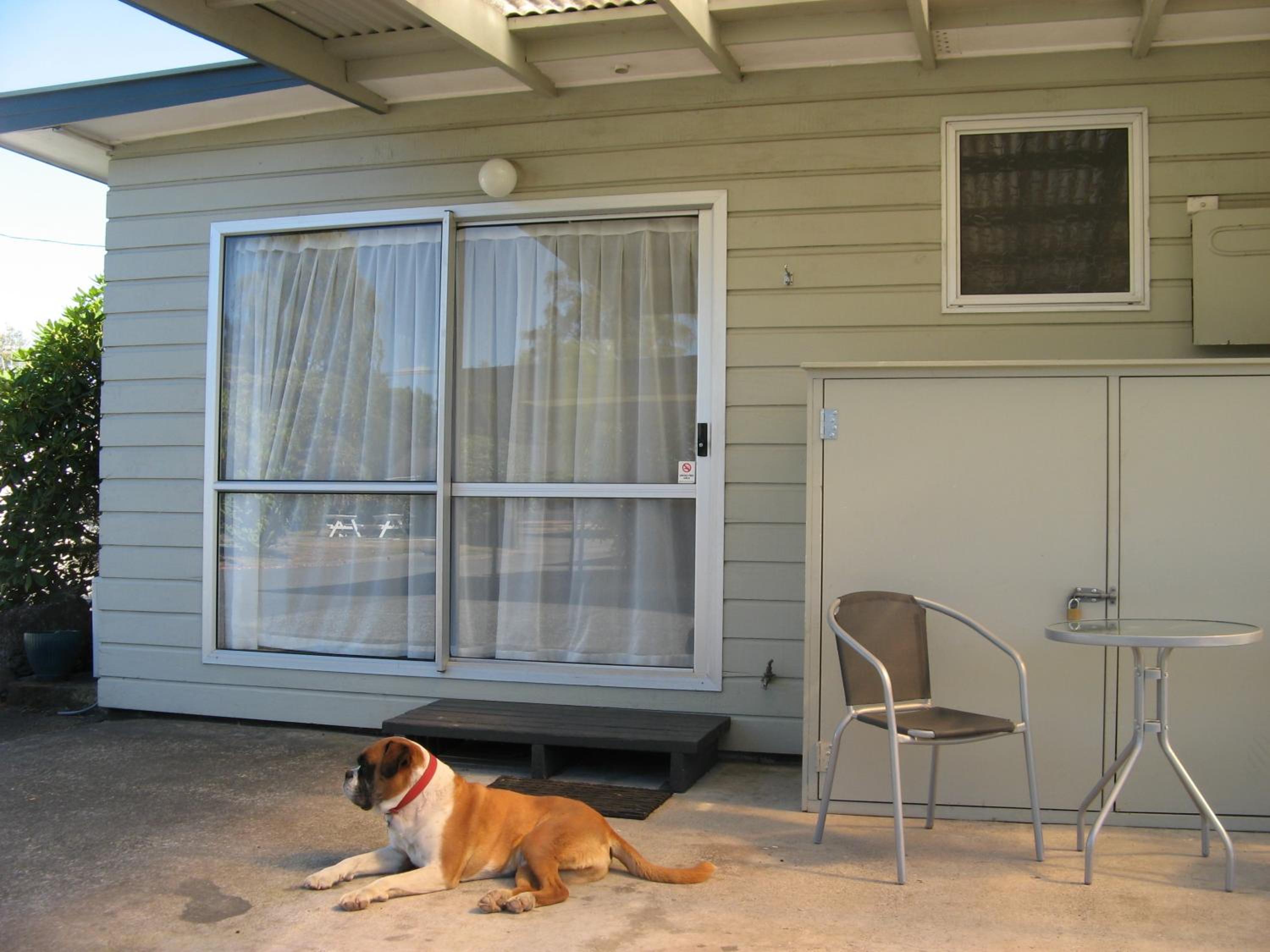 Family Room - Photo 6