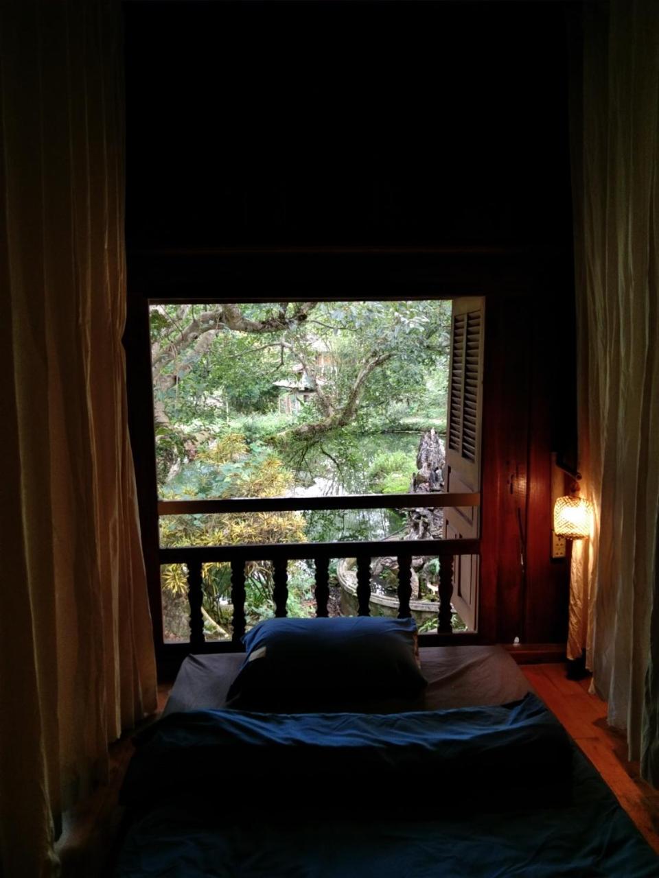 Single Bed in Mixed Dormitory Room photo 2
