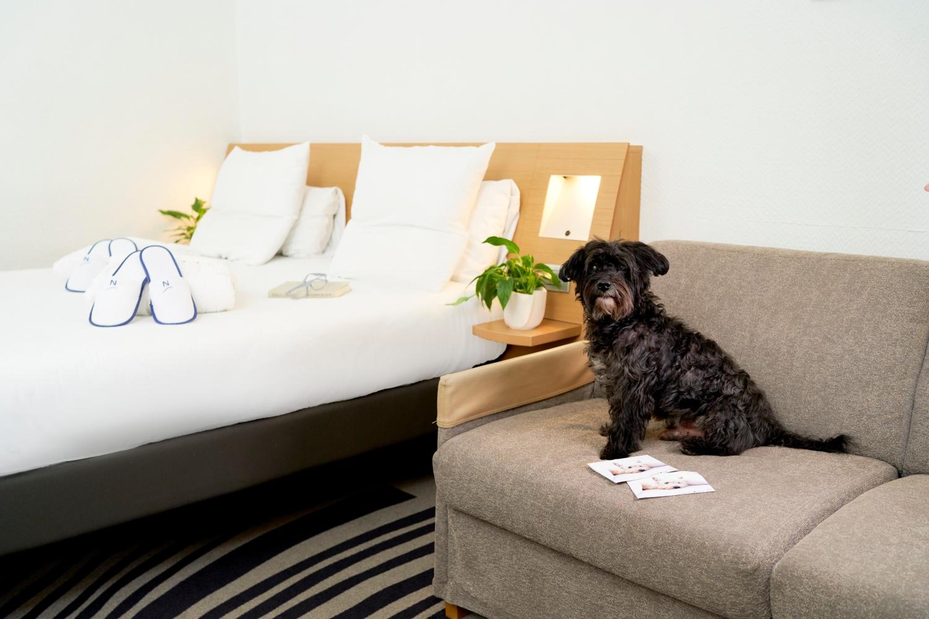 Executive Double Room With Sofa Bed