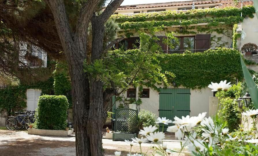 Apartment with Garden View photo 2