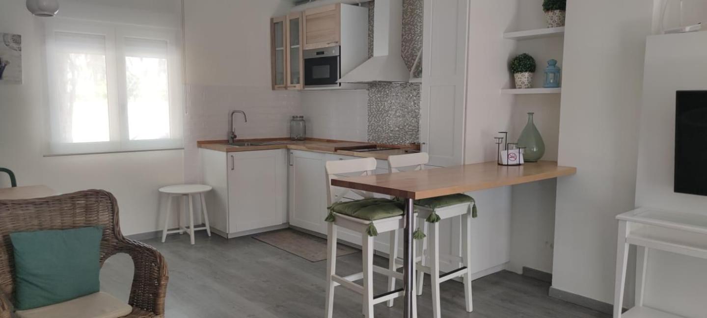 One-Bedroom Apartment with Terrace photo 2