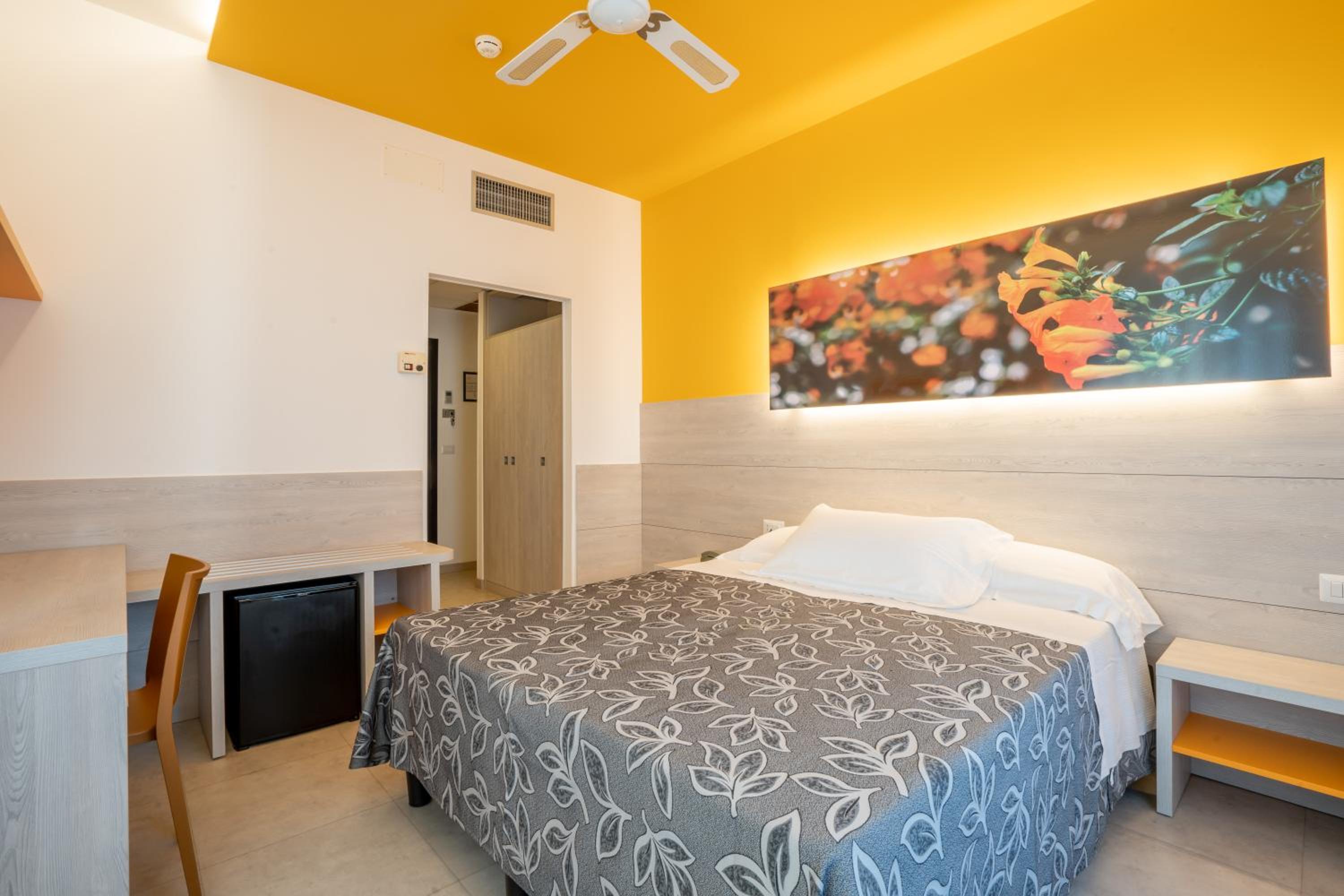 Comfort Double or Twin Room photo 3