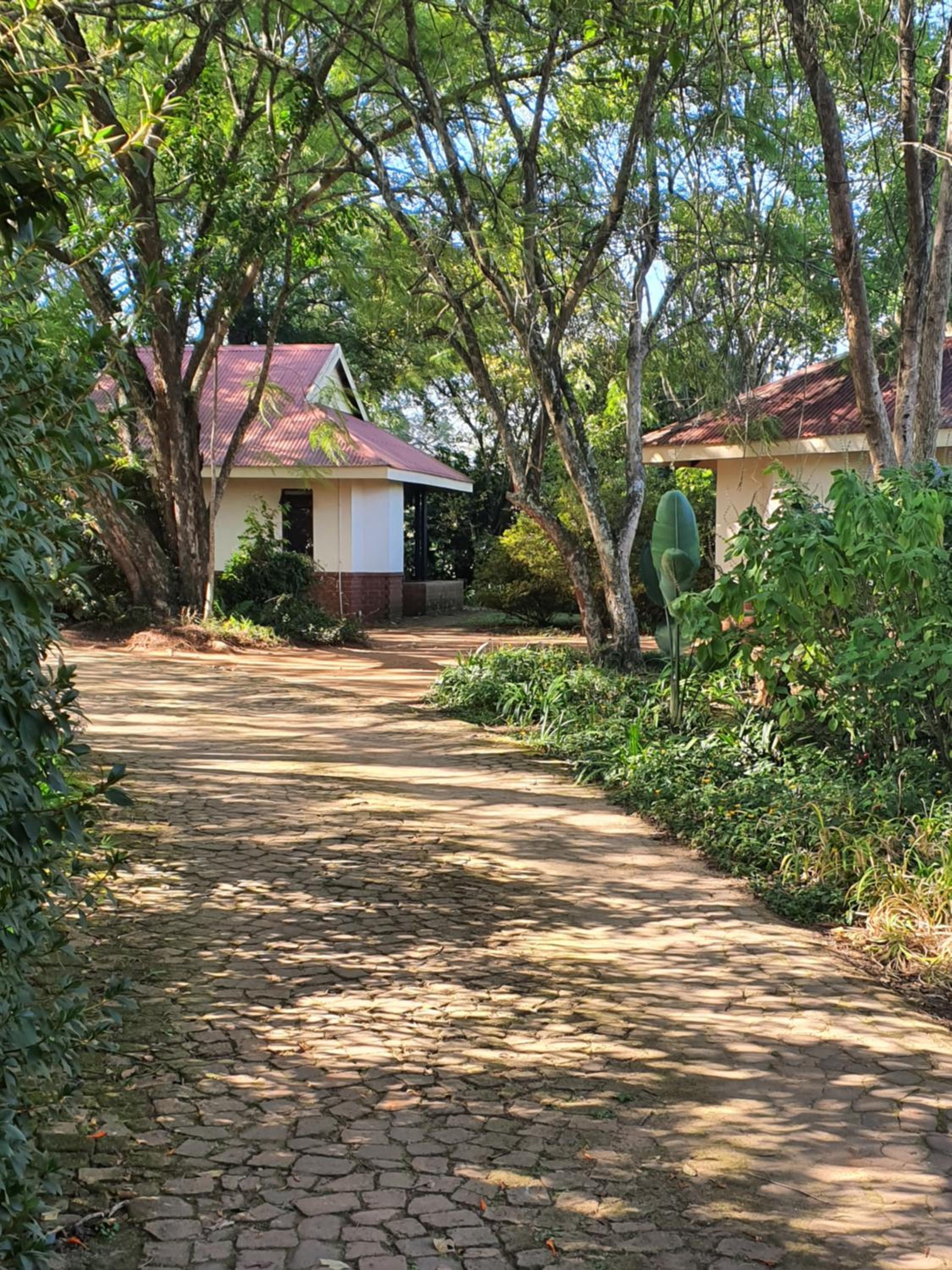 Bungalow - Photo 39