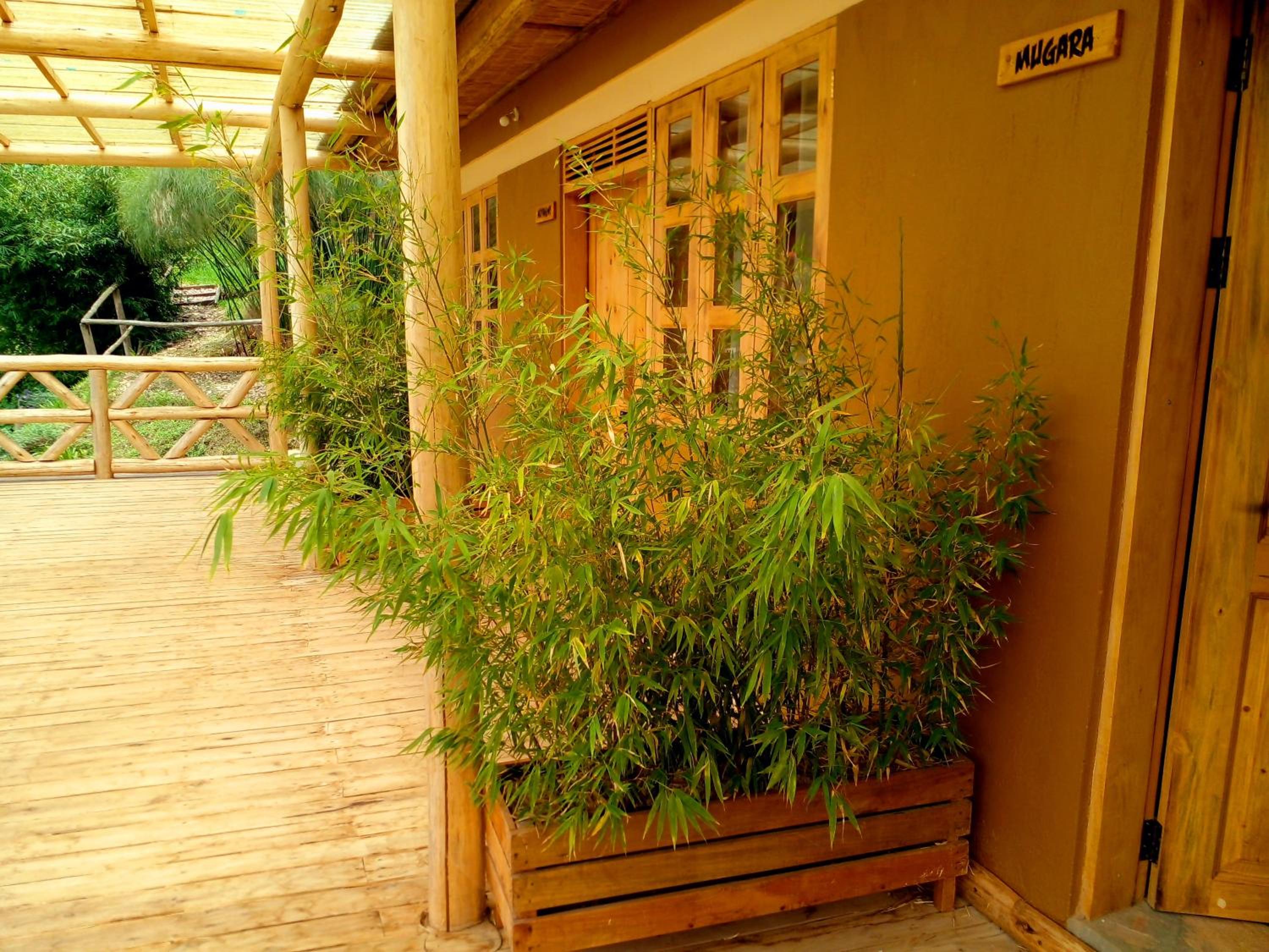 Single Room with Lake View photo 2