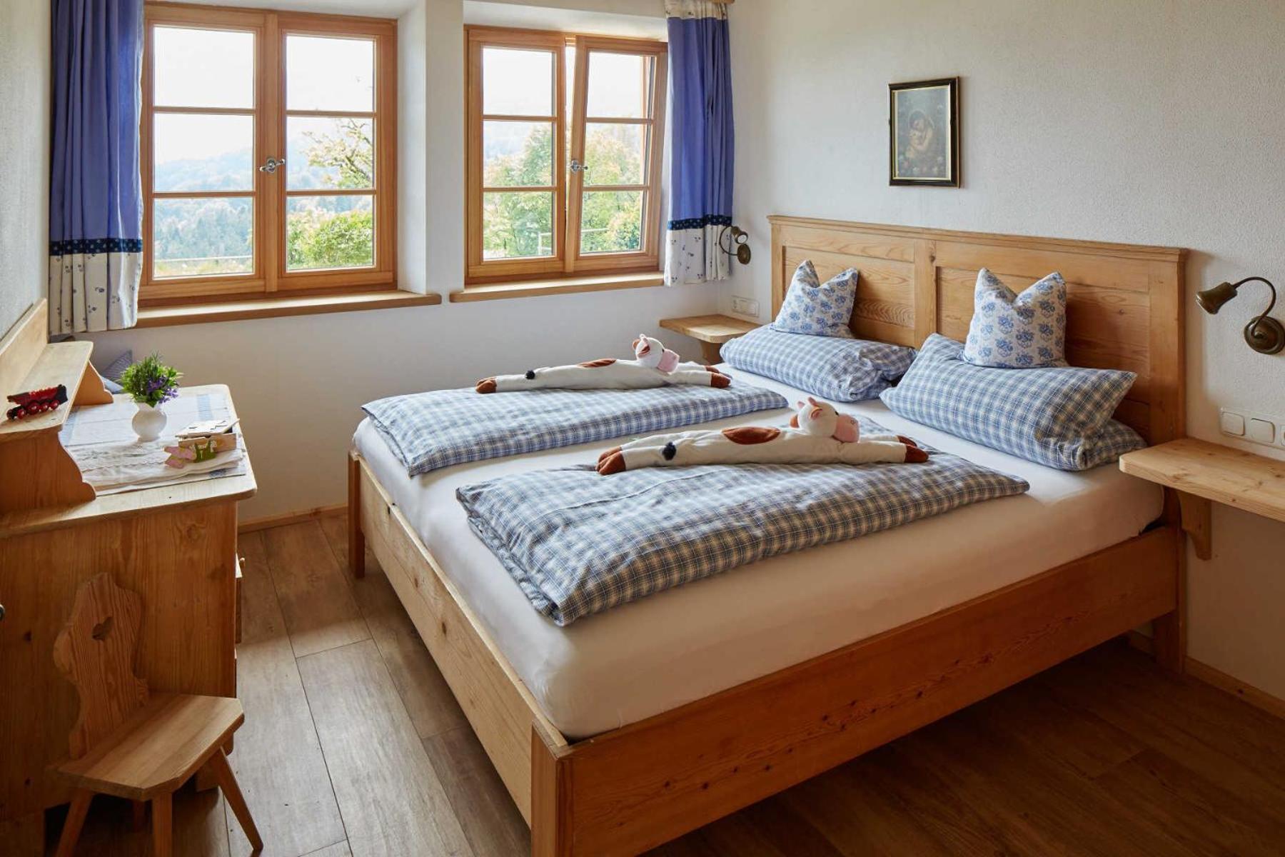 Two-Bedroom Apartment with Terrace photo 3