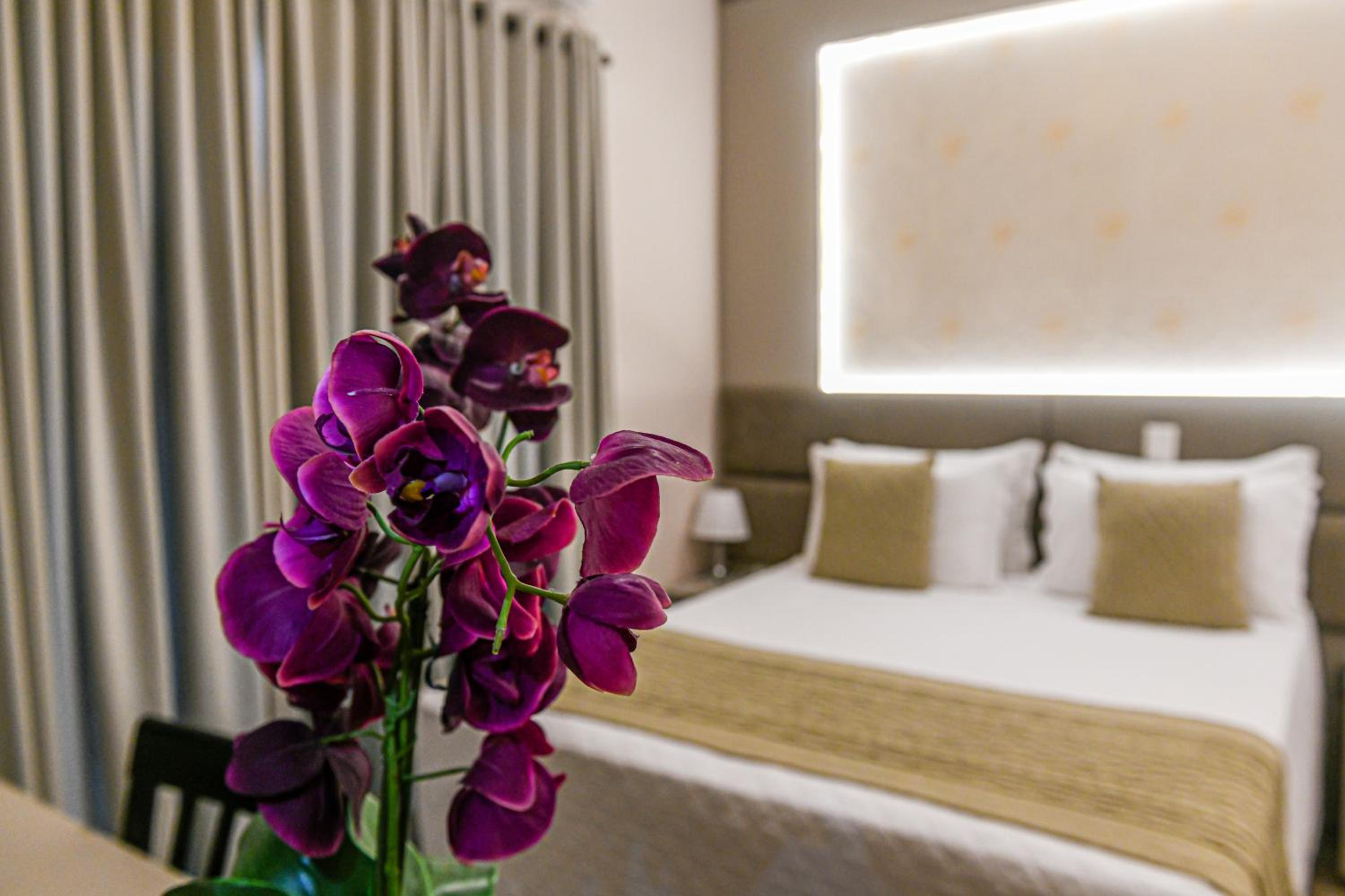 Suite with Spa Bath photo 3