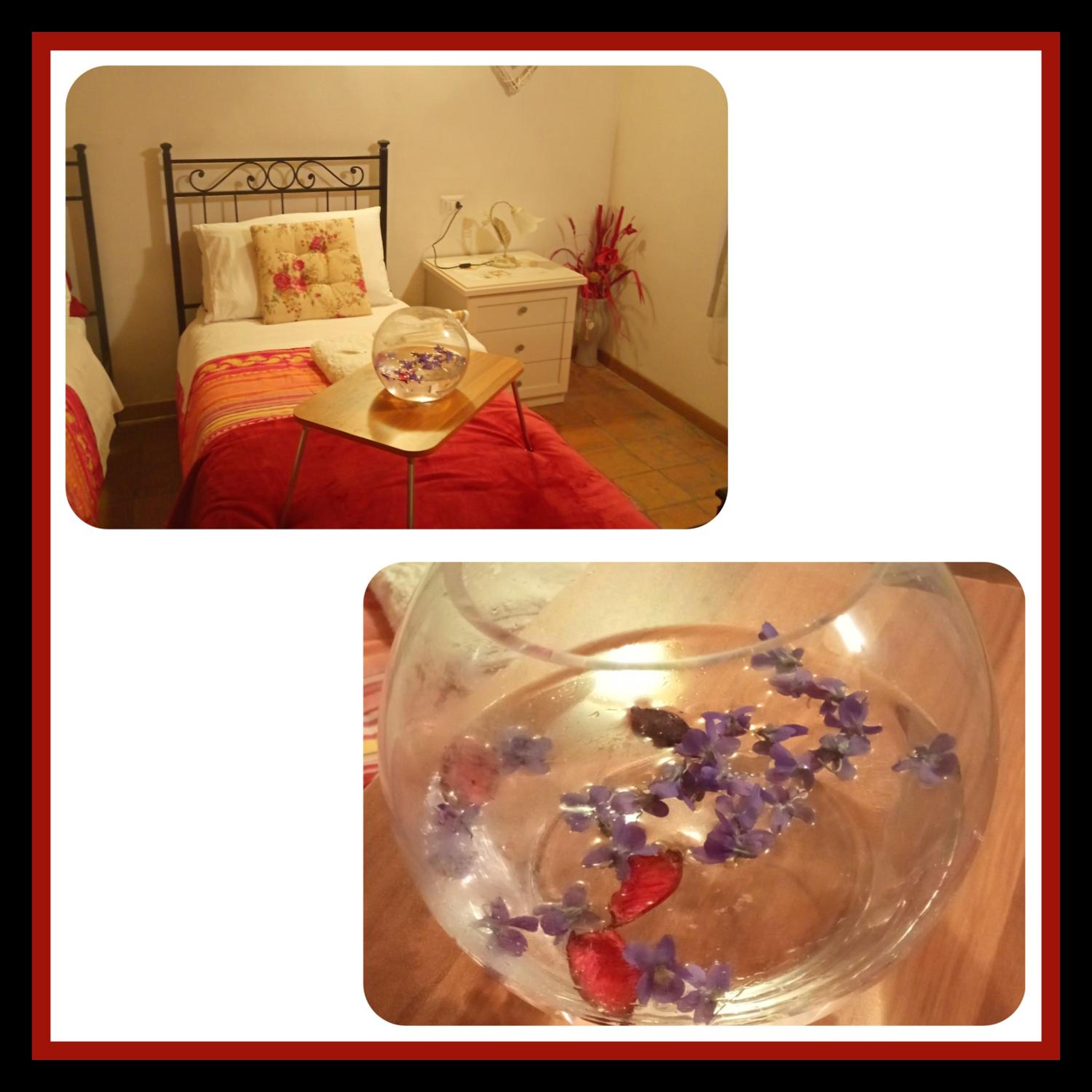 Twin Room with Shared Bathroom photo 3