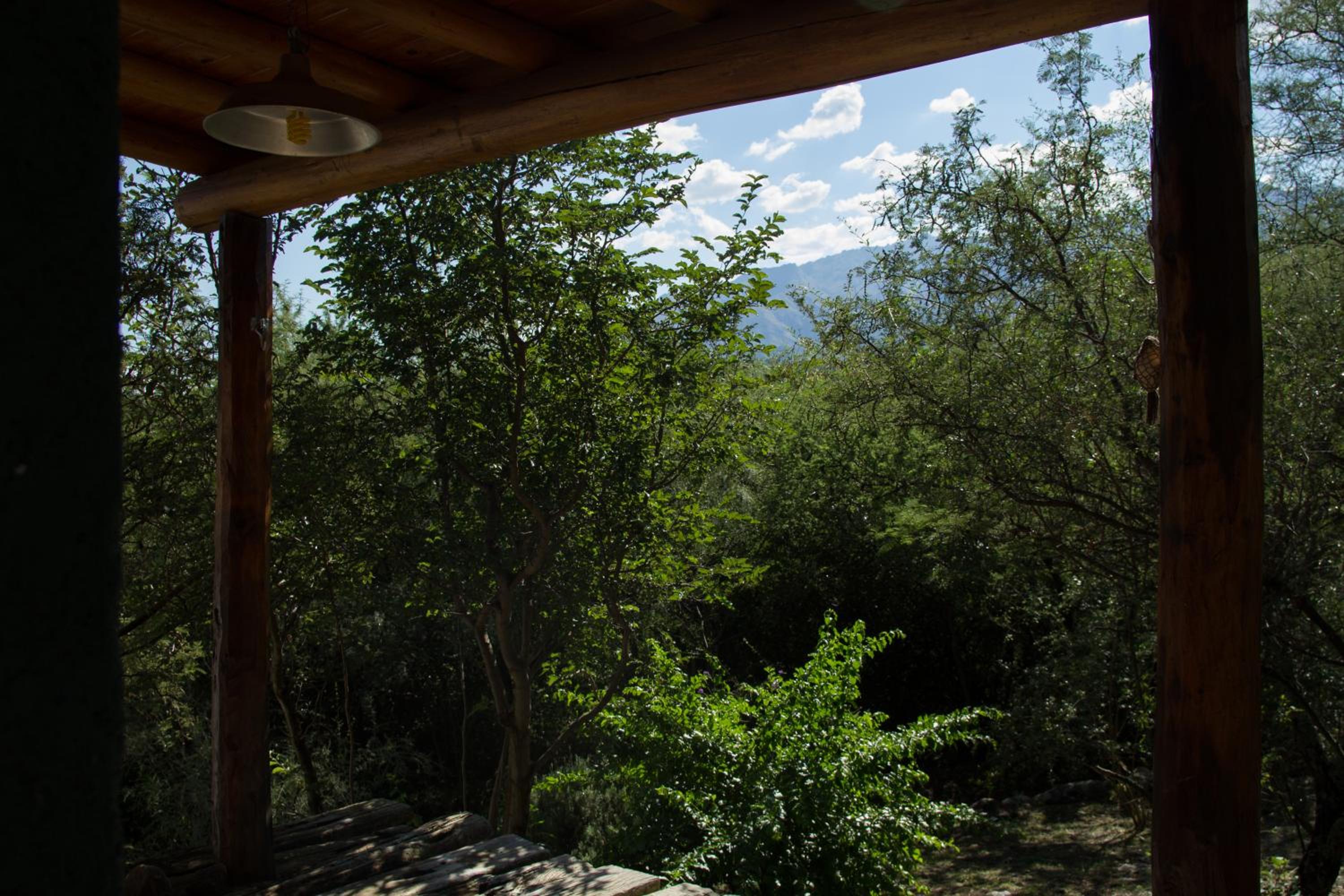 One-Bedroom Chalet photo 3