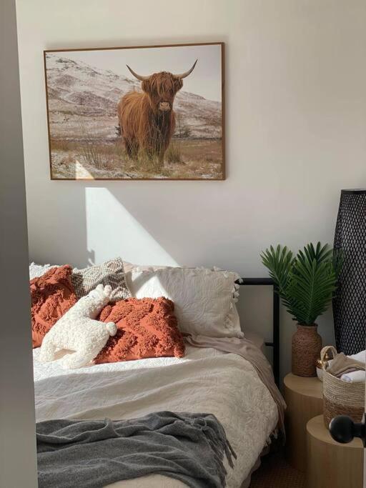 One-Bedroom Apartment photo 3
