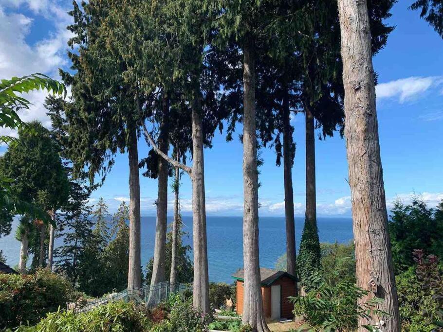 Villa with Sea View photo 1