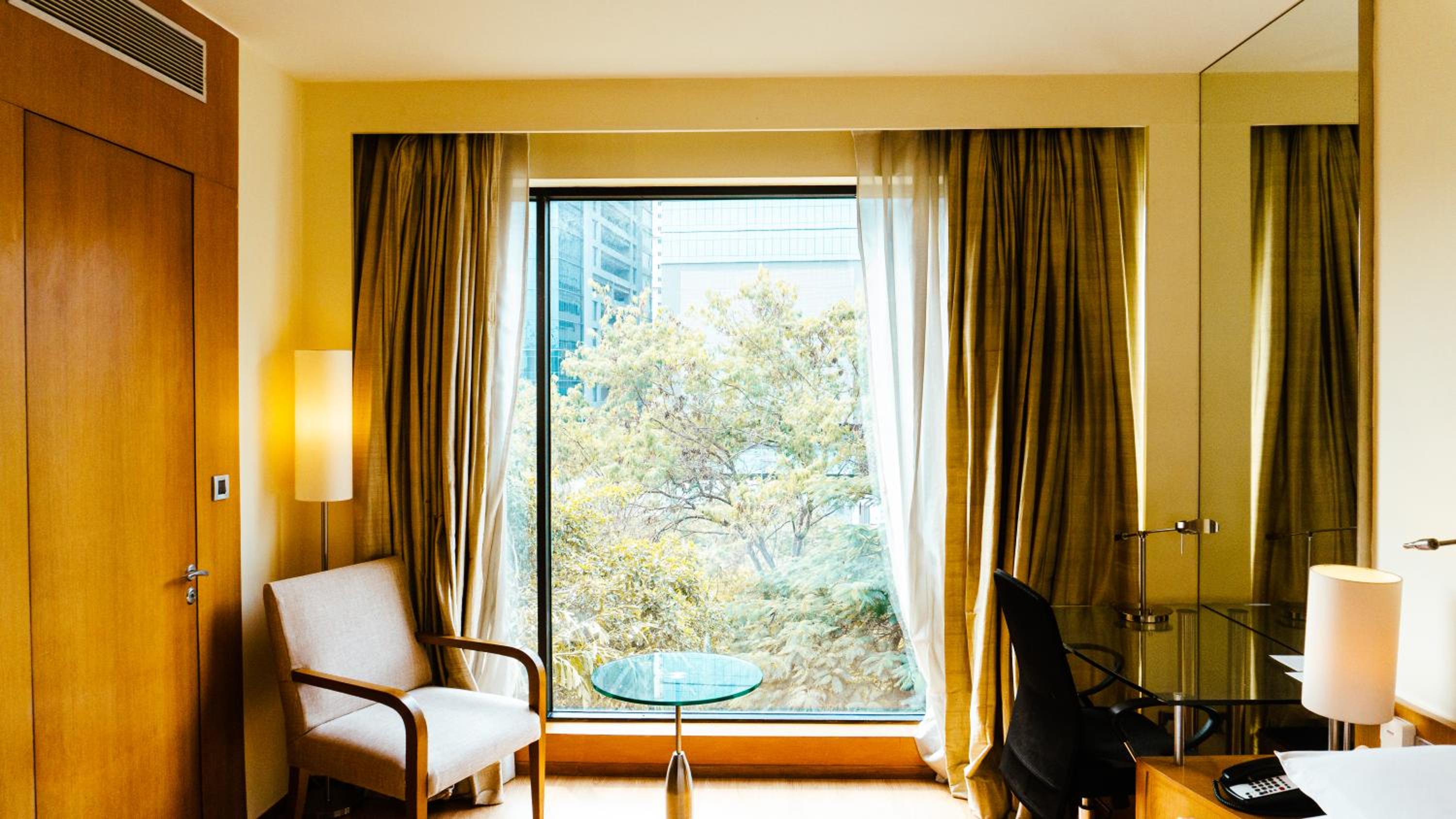 Executive Room - Photo 4