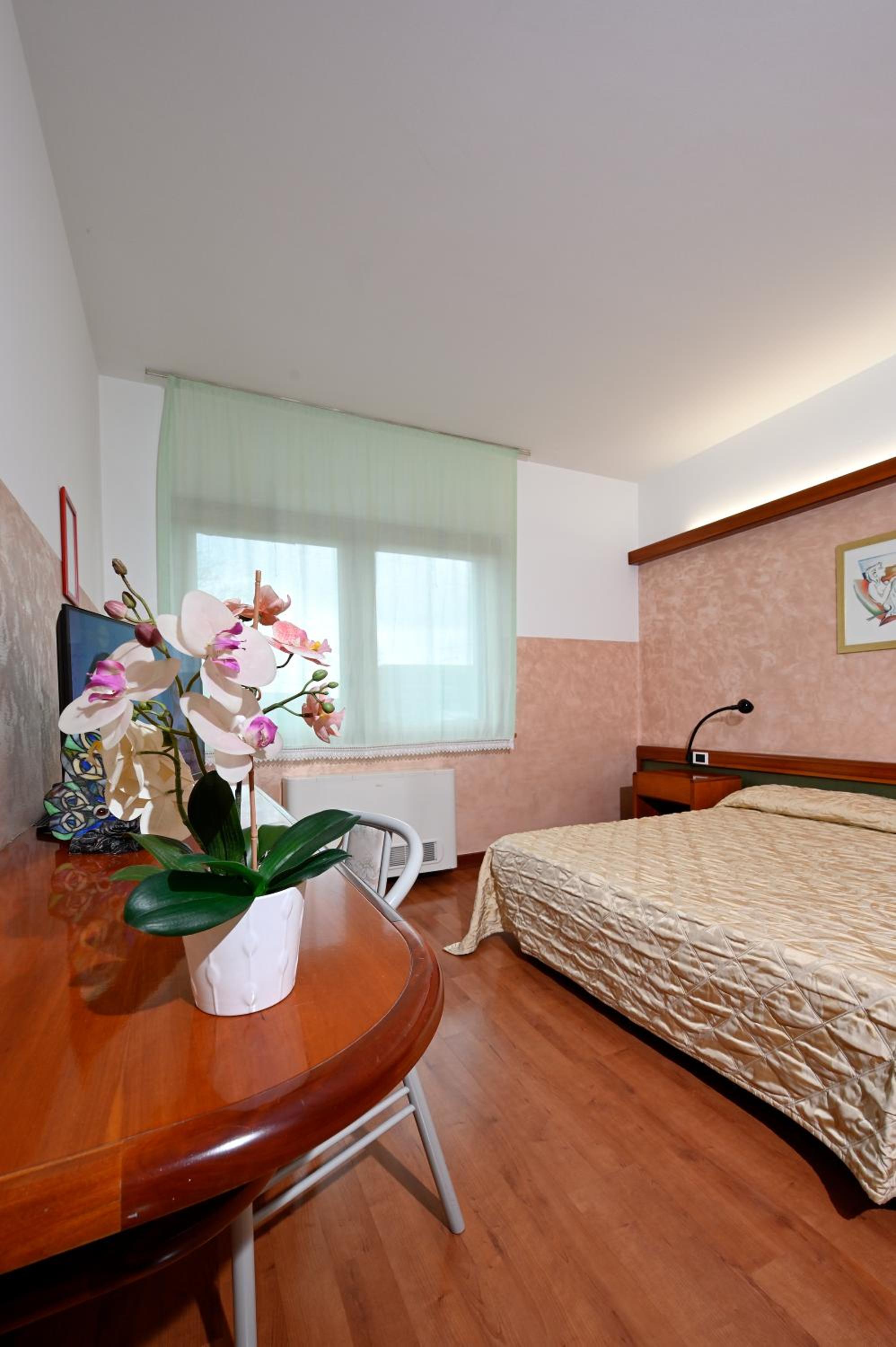 Double or Twin Room photo 2