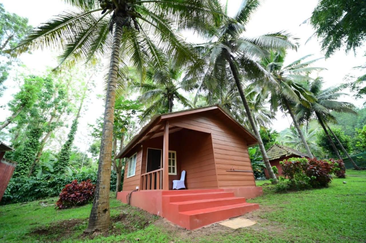 Superior Double Room - Photo 8