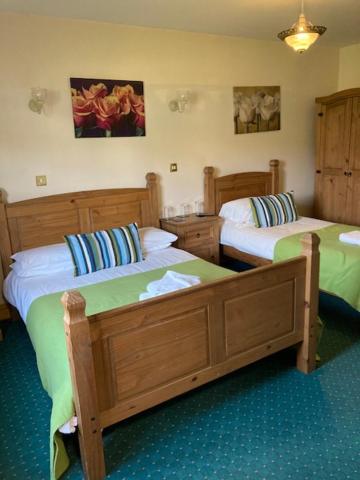 Twin Room (Pet Friendly)  - Photo 4