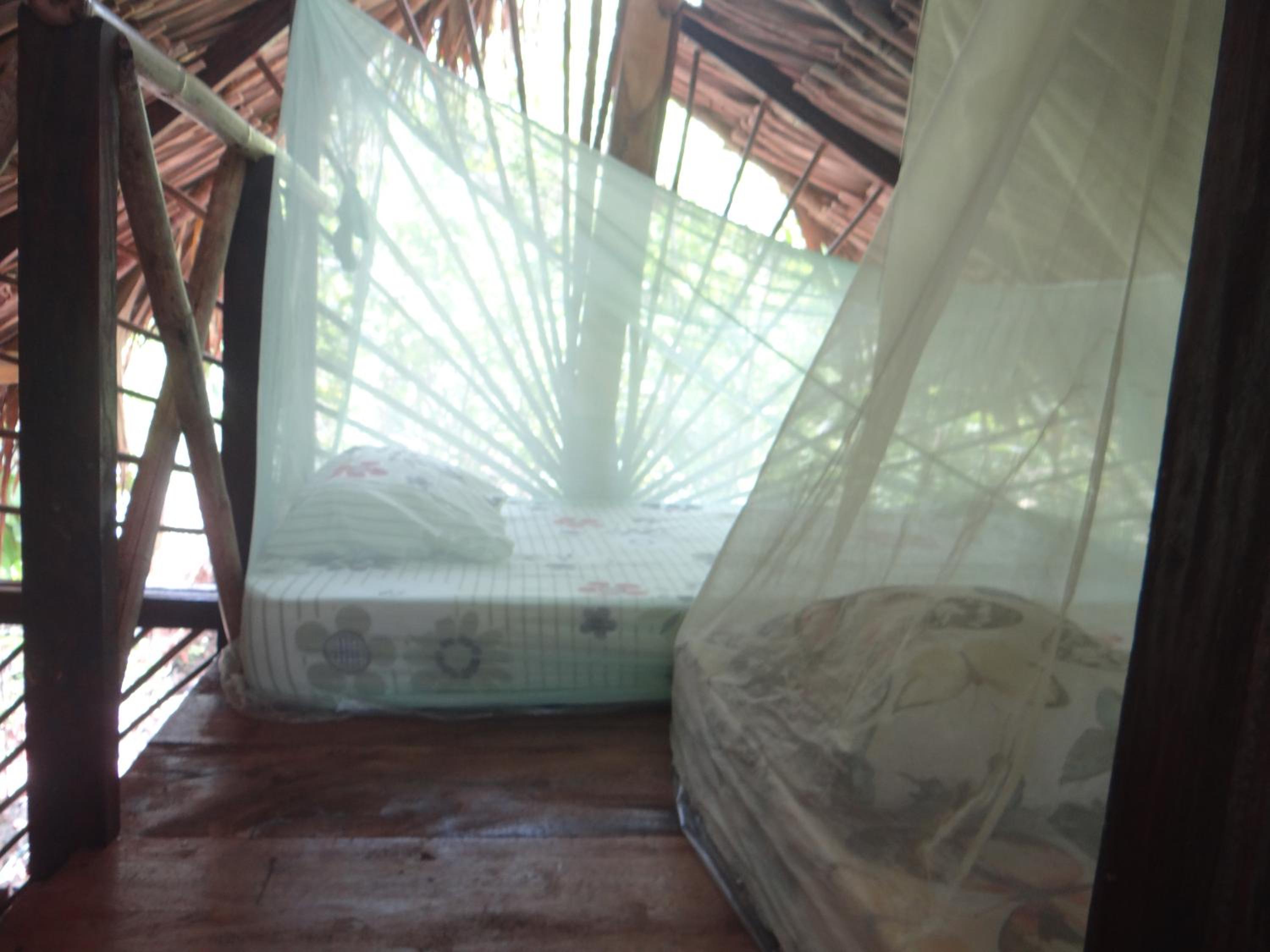 Family Bungalow photo 3