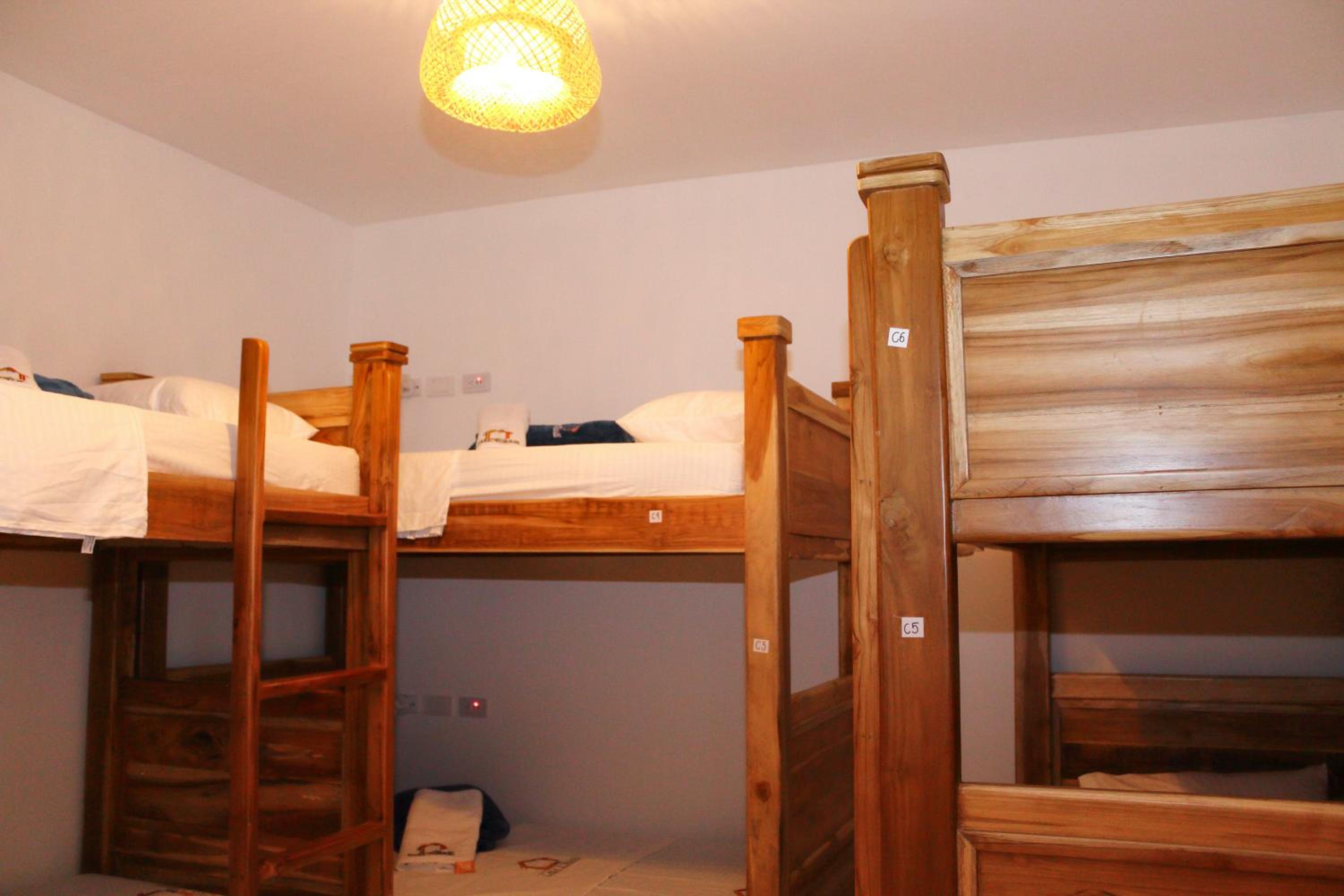 Bed in 6-Bed Mixed Dormitory Room photo 3
