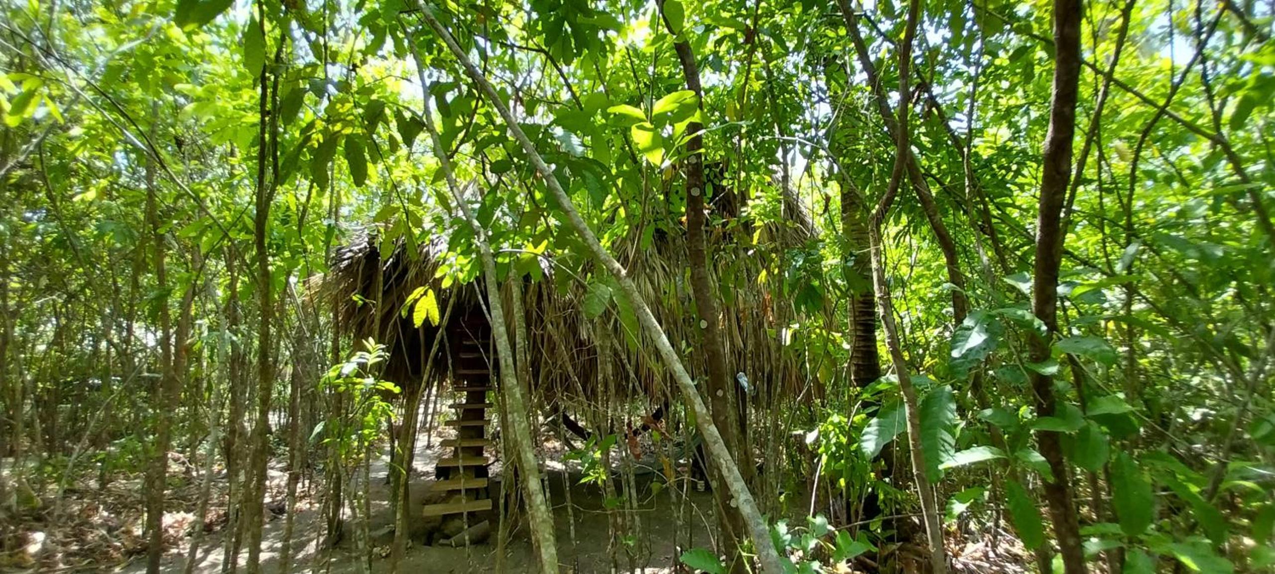 Bungalow with Garden View photo 2