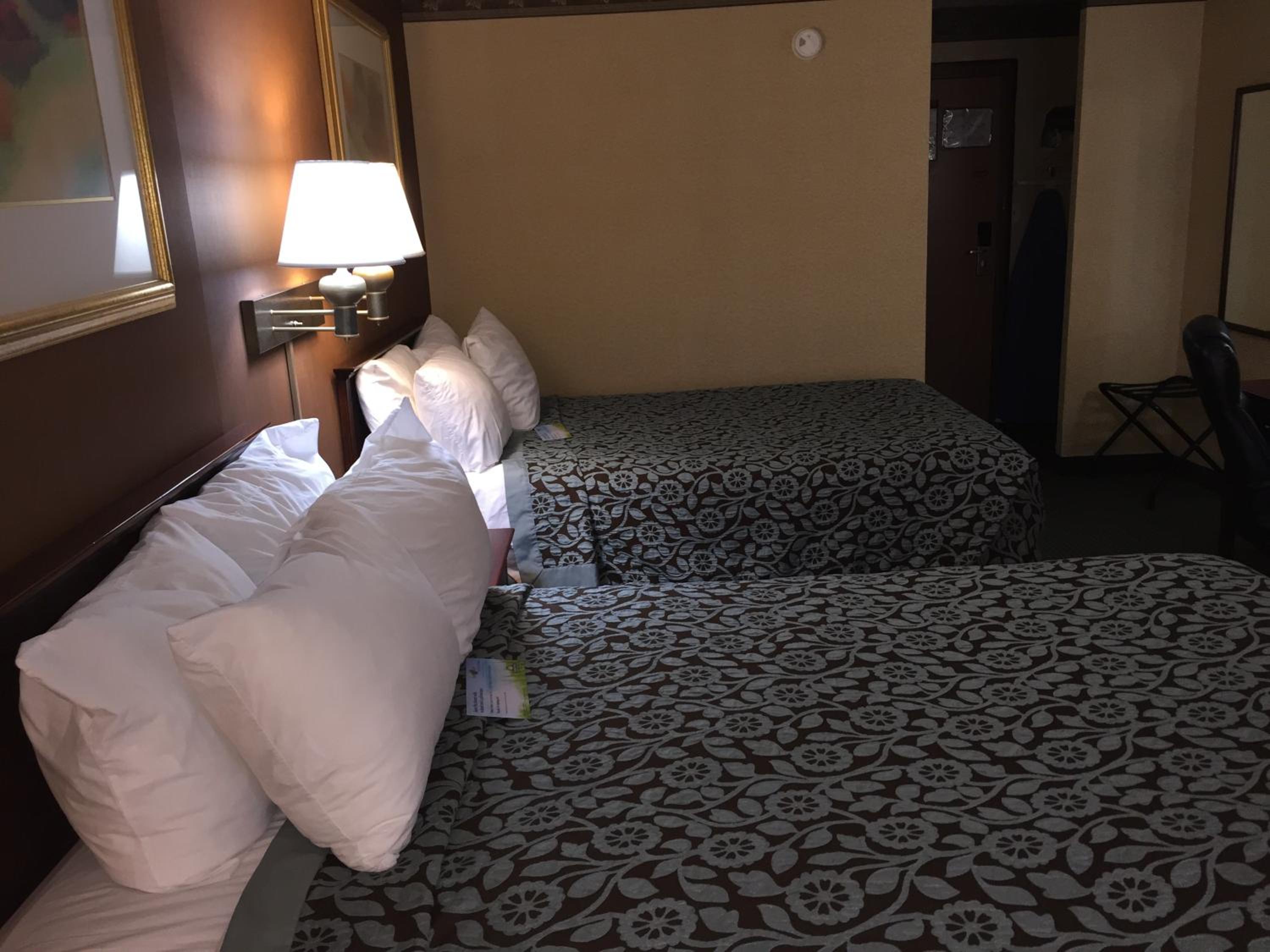 Room with Two Double Beds - Non-Smoking - Photo 1