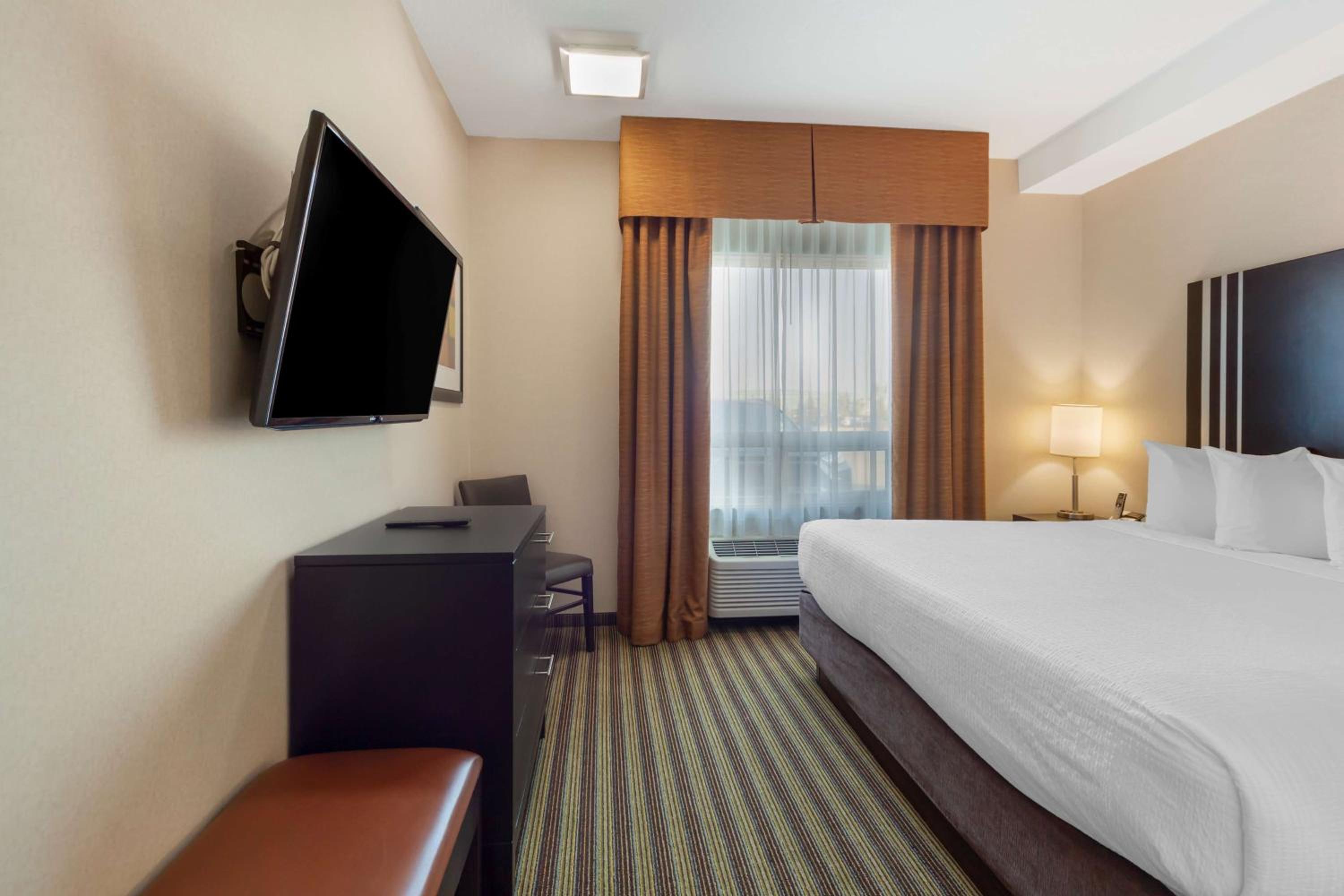 King Room with Roll-in-Shower - Disability Access/Non-Smoking photo 1