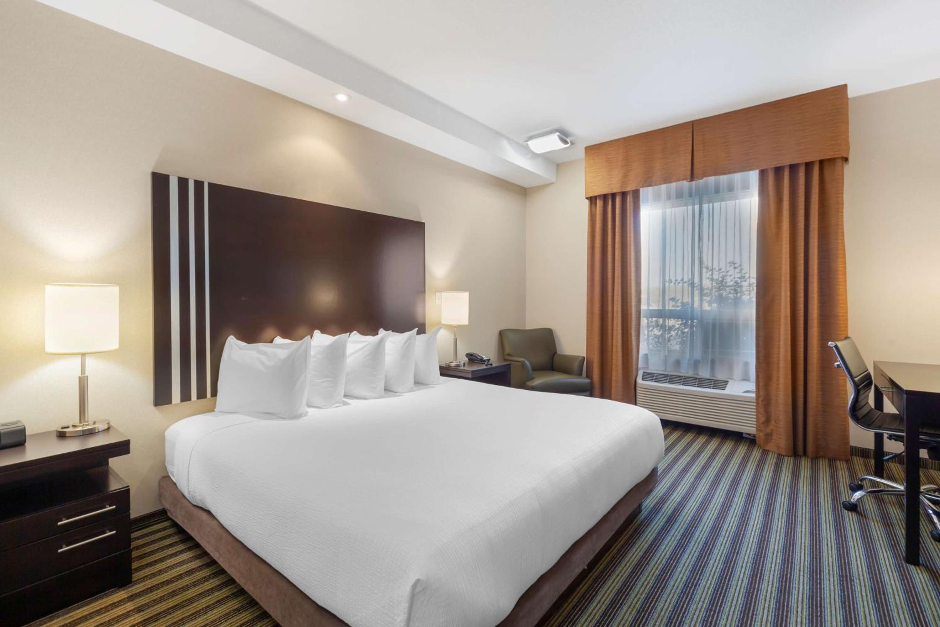 Junior King Suite - Non-Smoking photo 1