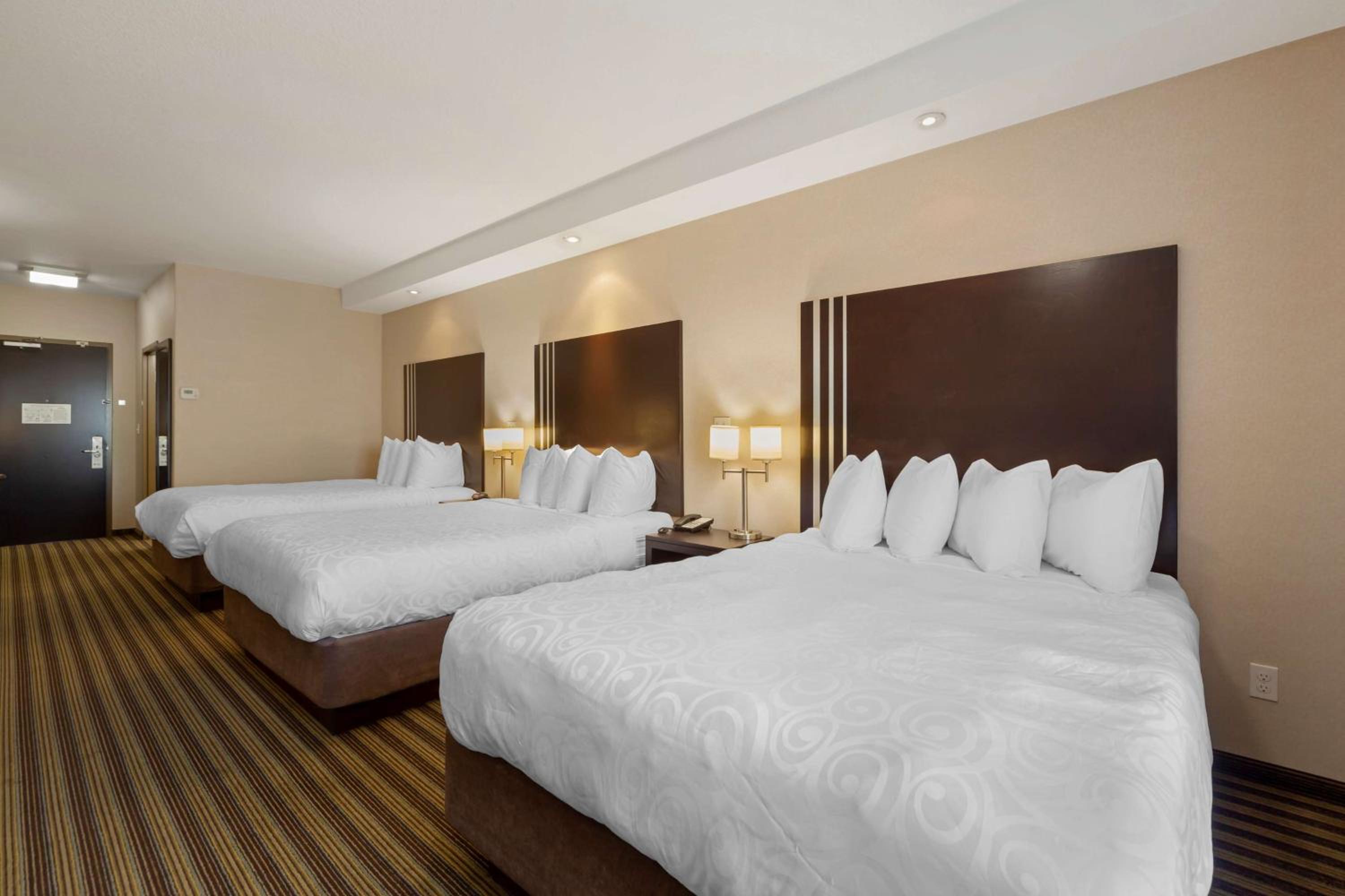 Suite with Three Queen beds photo 1