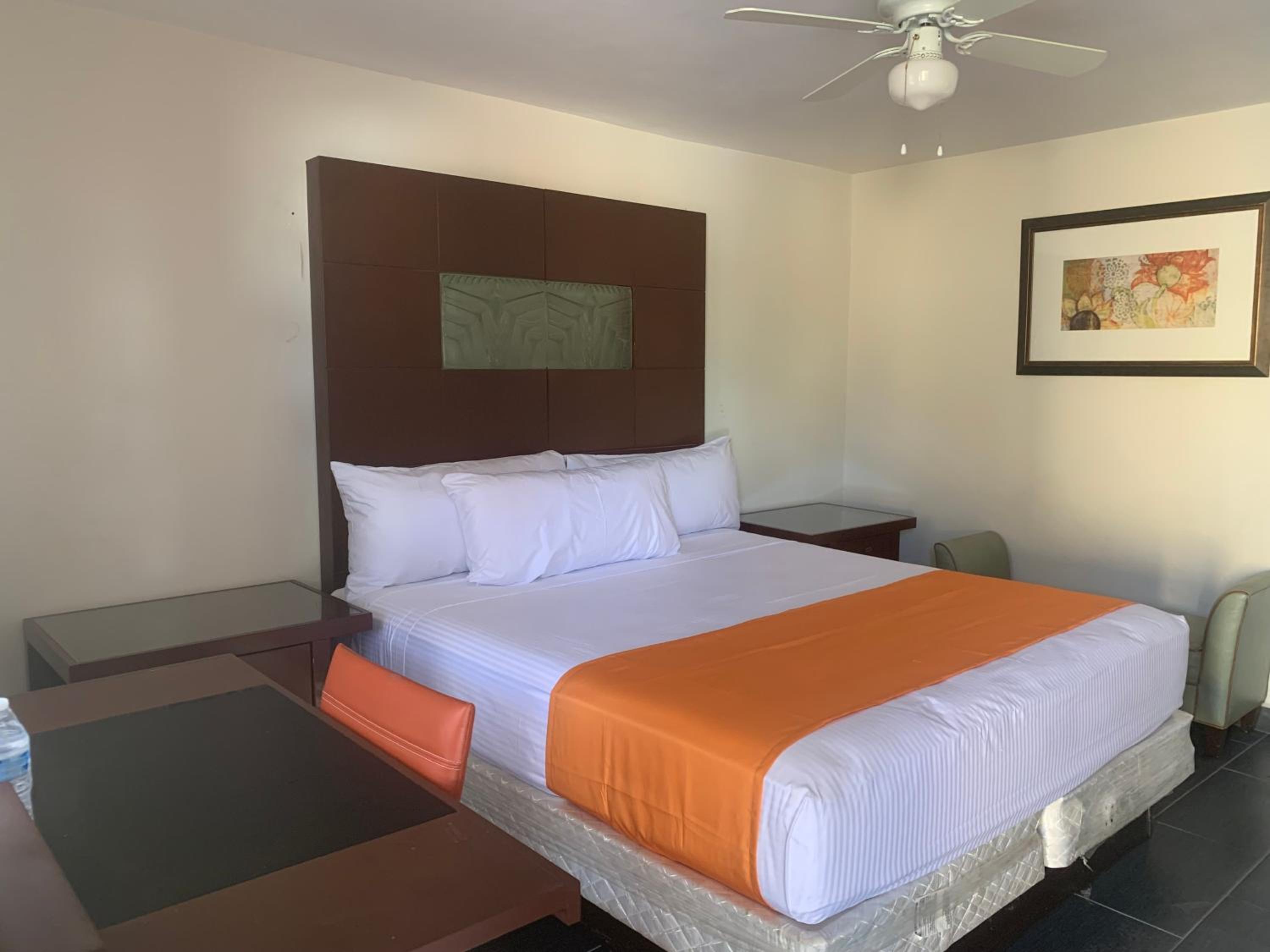 Standard Queen Room photo 3