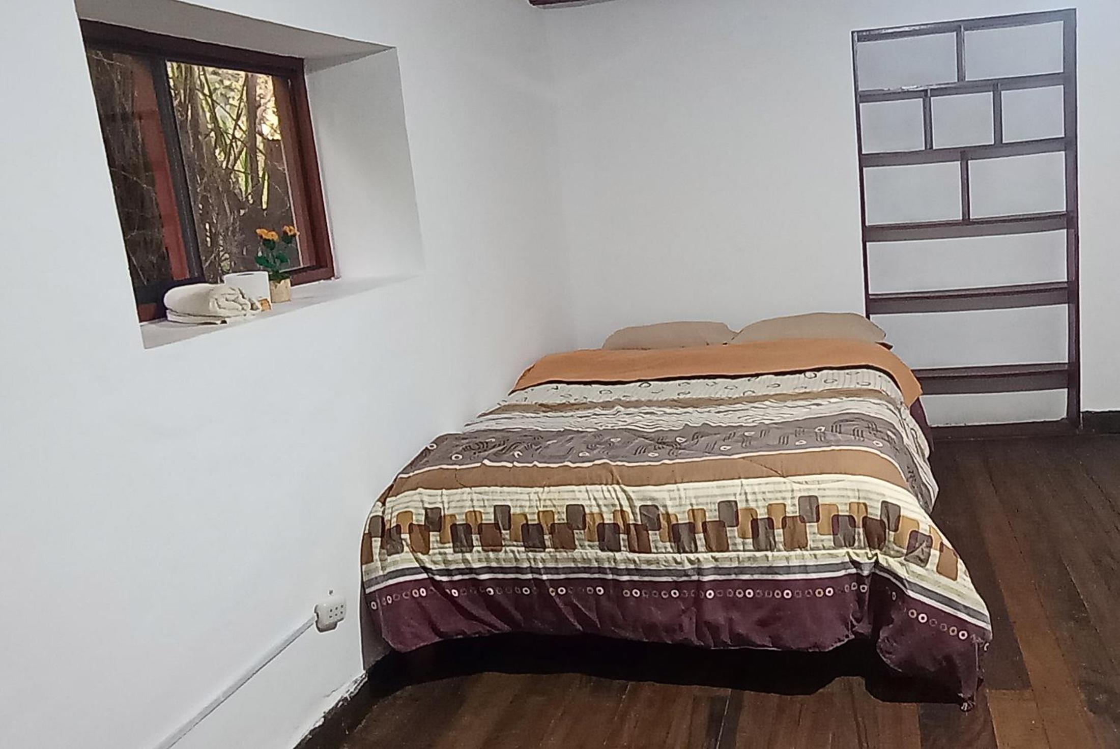 Single Bed in Mixed Dormitory Room photo 1