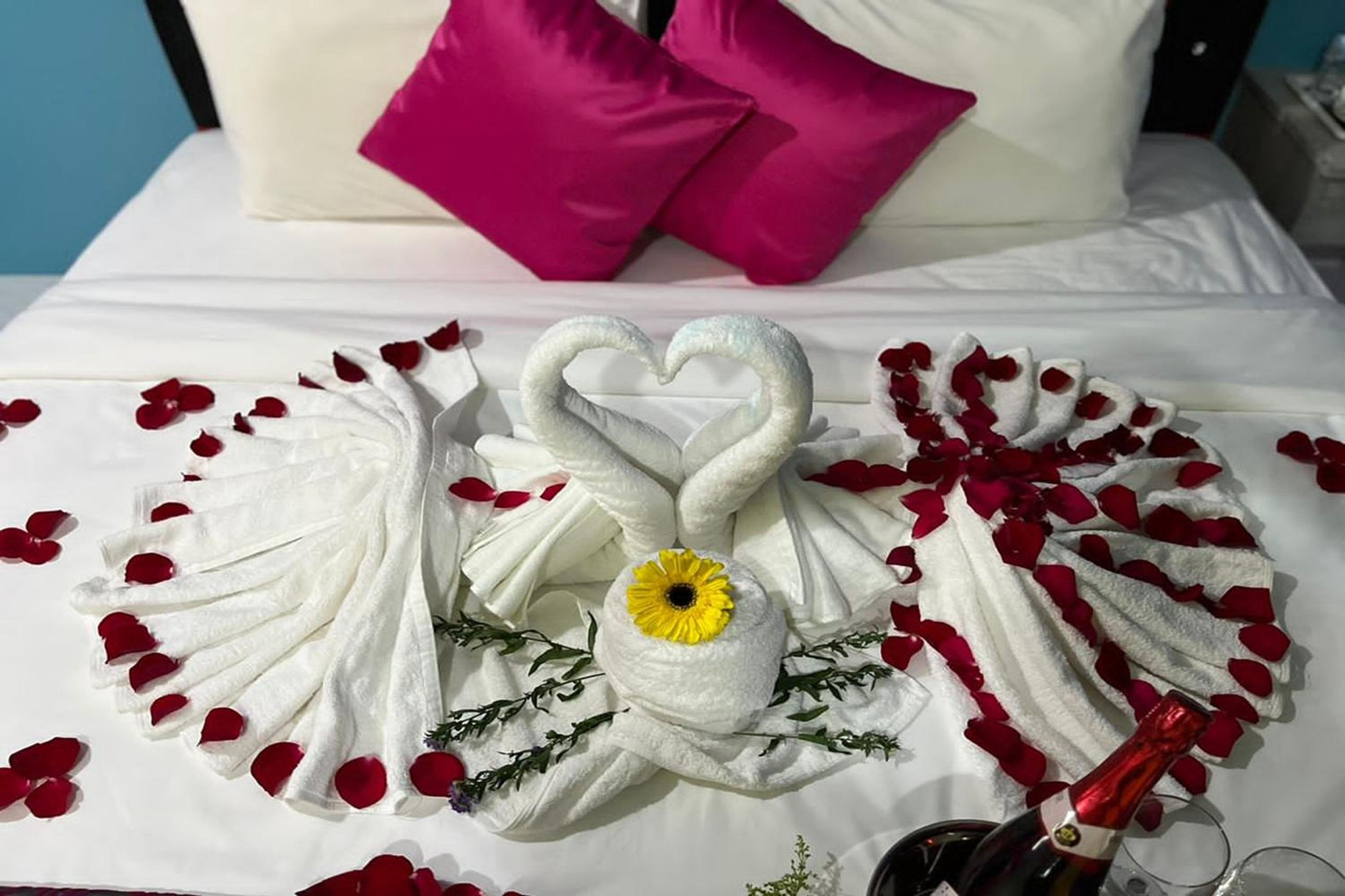 Deluxe Suite - Photo 13