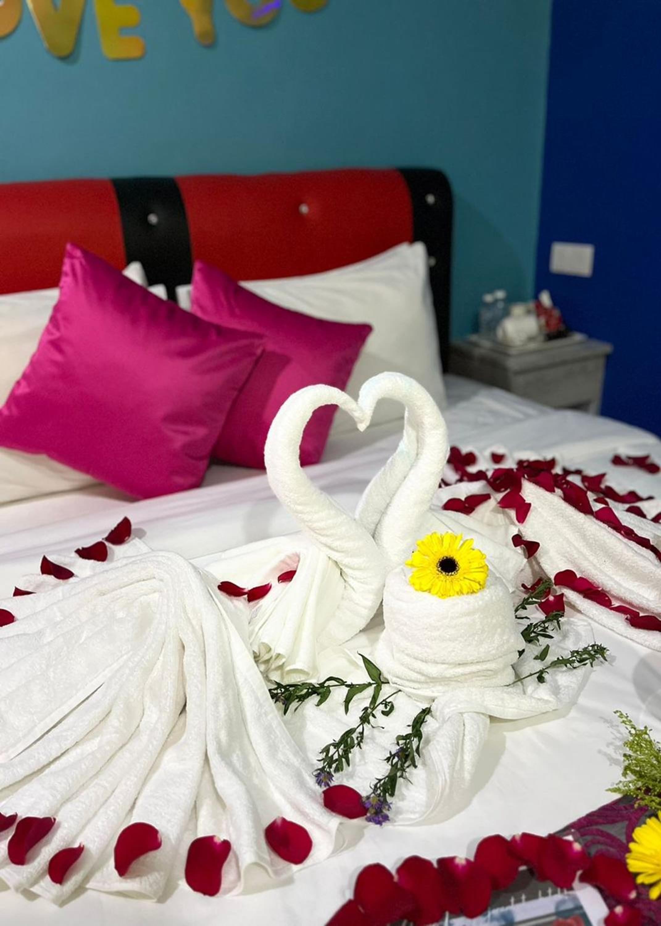 Deluxe Suite - Photo 9