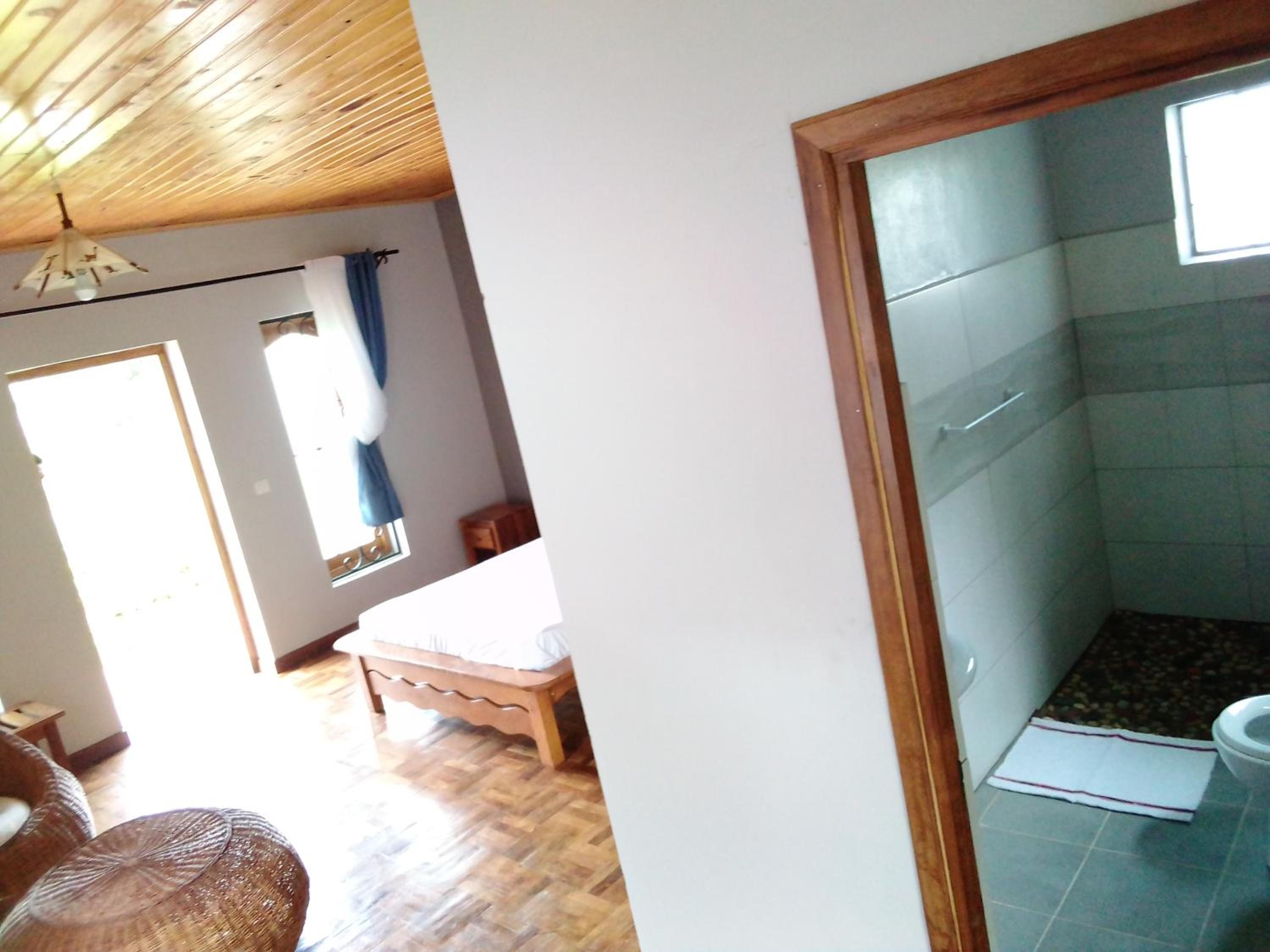 Double Room With Pool View photo 2