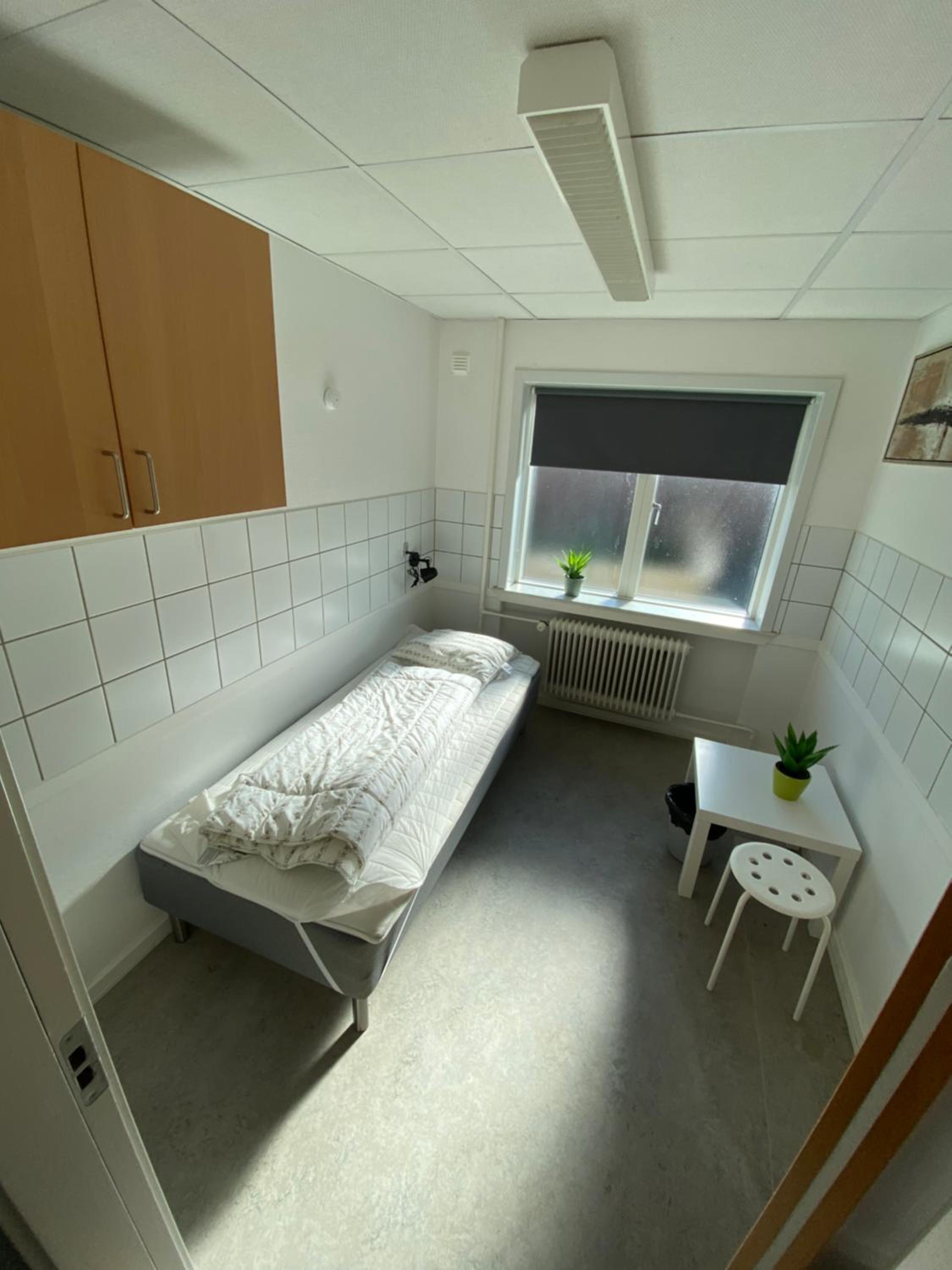 Single Room photo 1