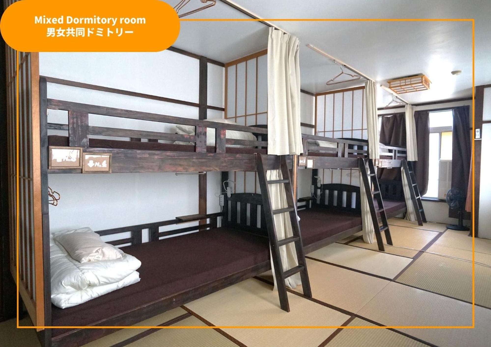 Bunk Bed in Mixed Dormitory Room photo 1