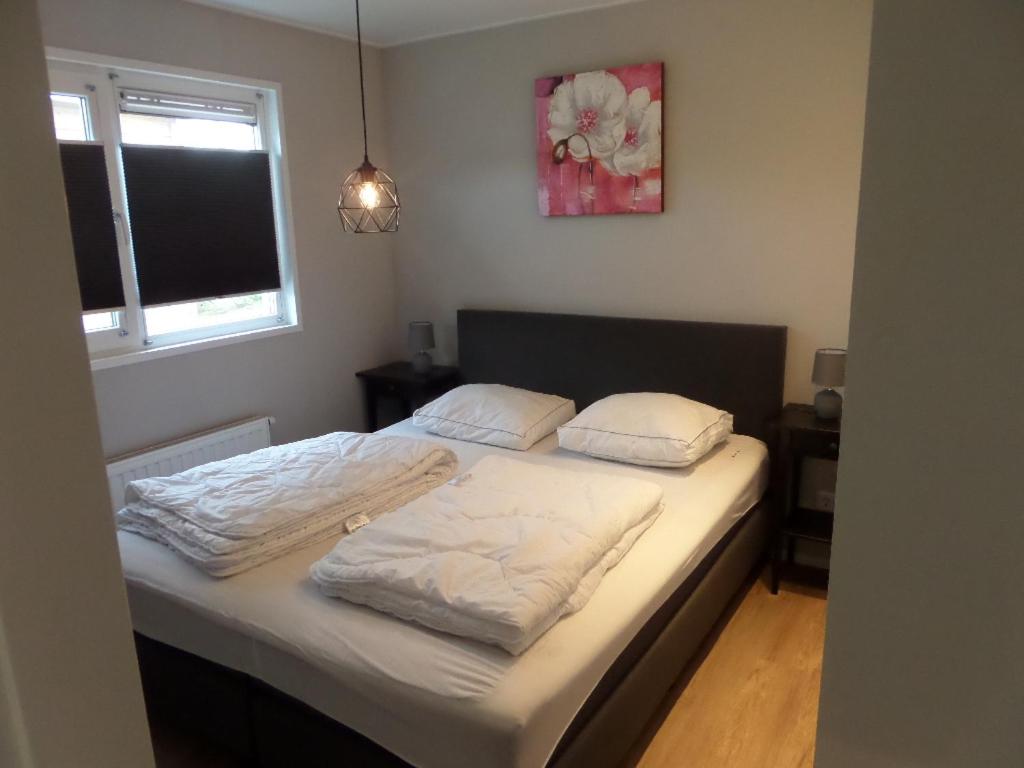 Three-Bedroom Chalet photo 2