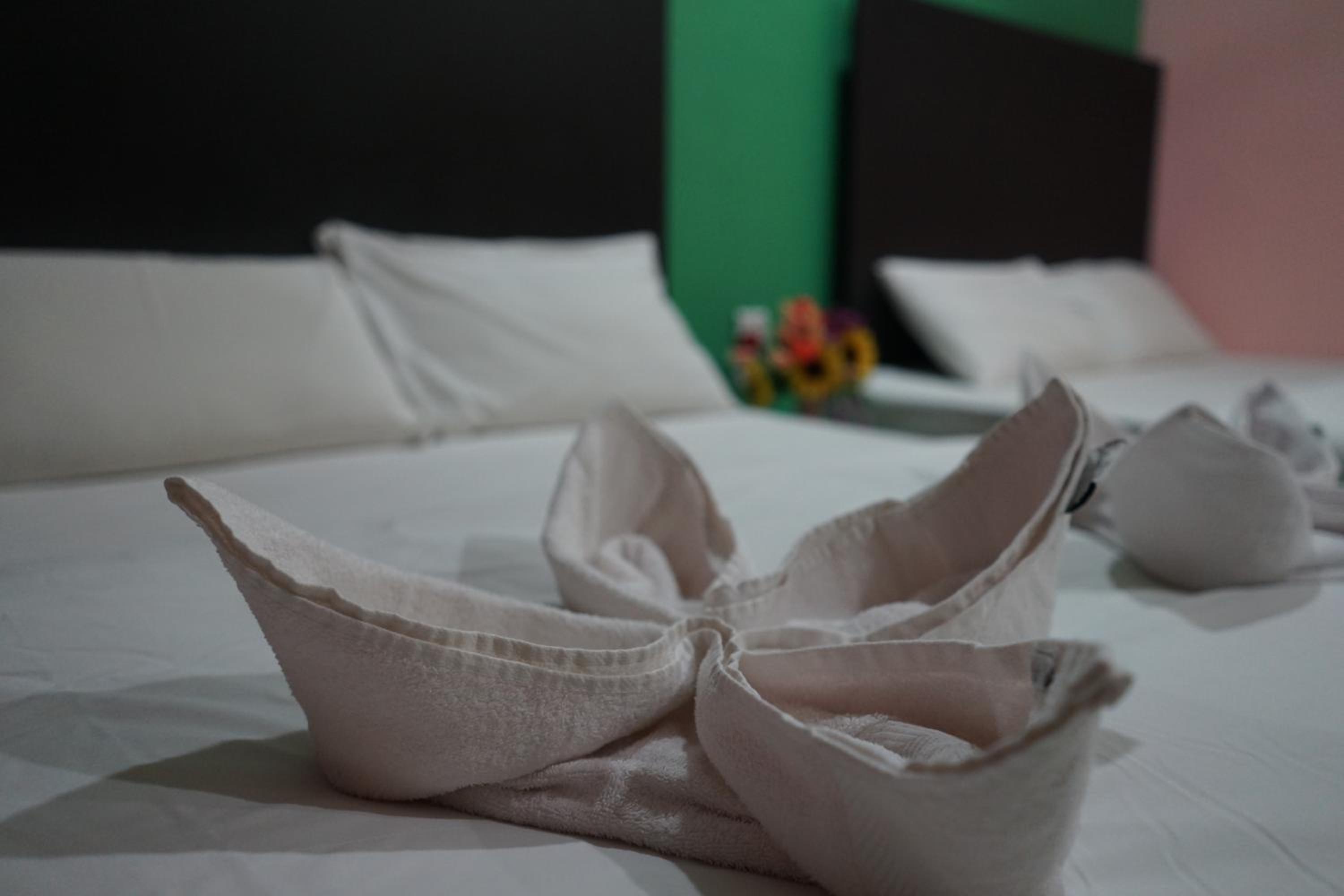 Deluxe Family Suite - Photo 4