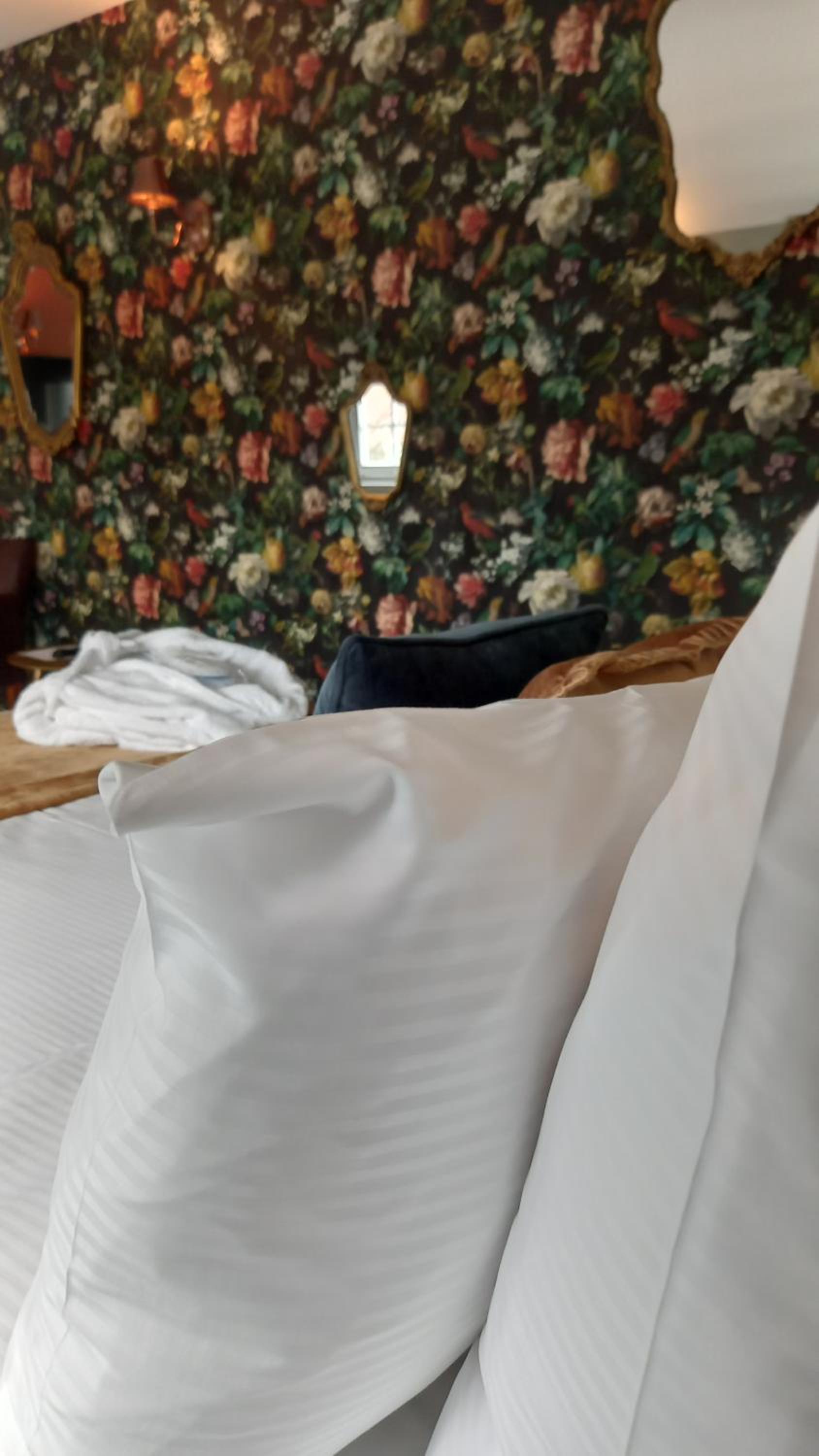 Superior Queen Room photo 3