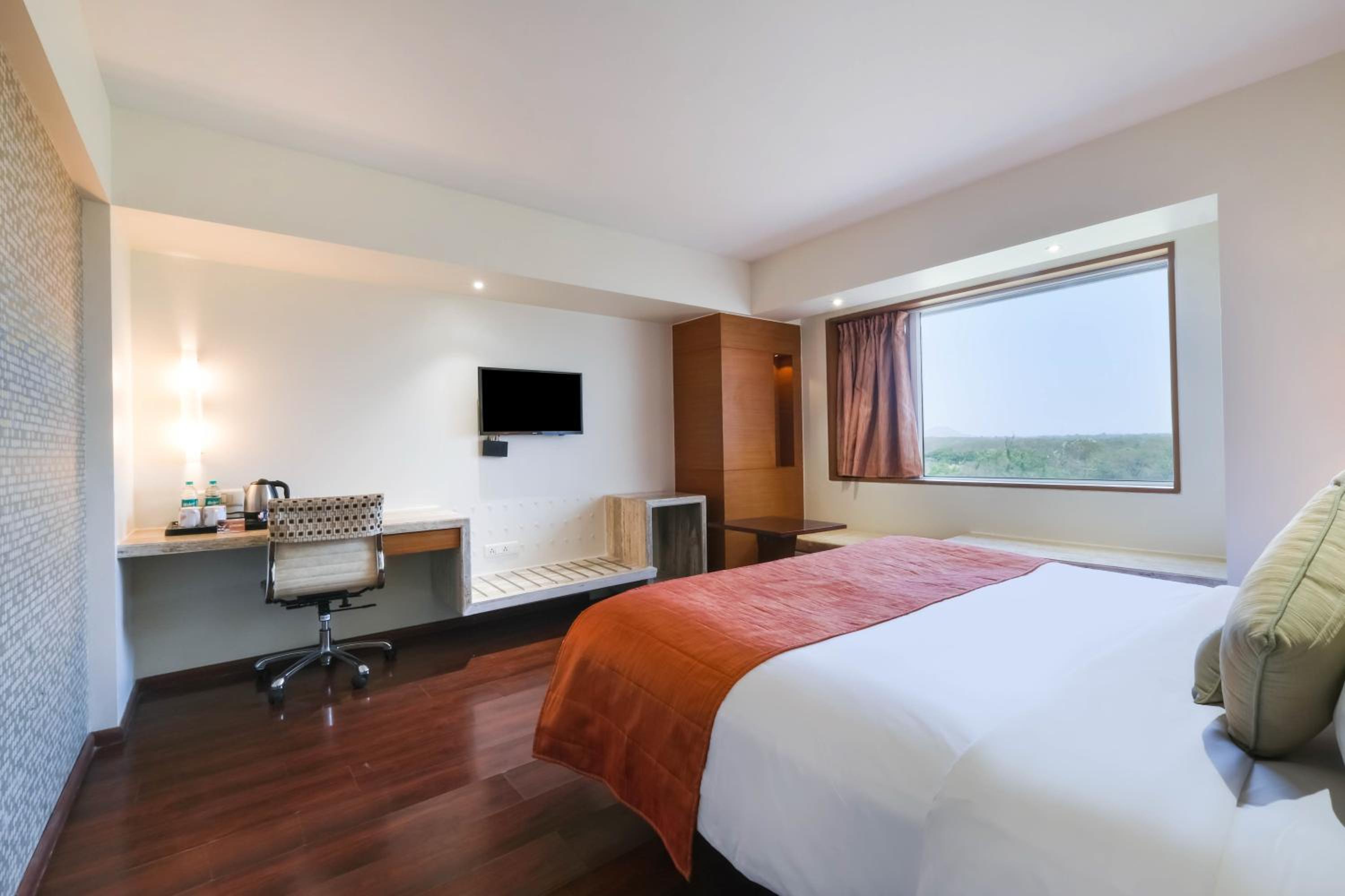 Suite - Photo 4