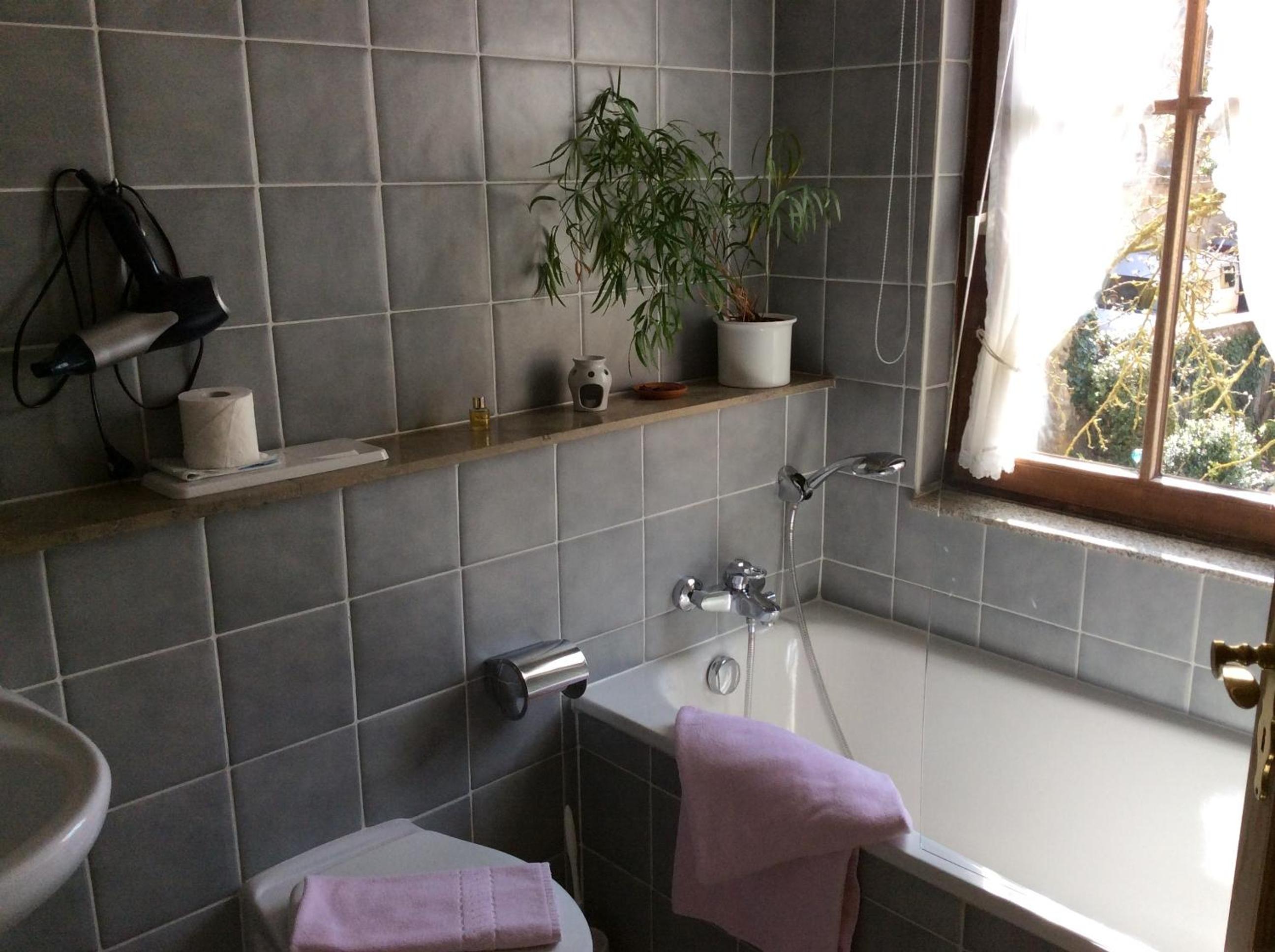 Comfort Single Room photo 3