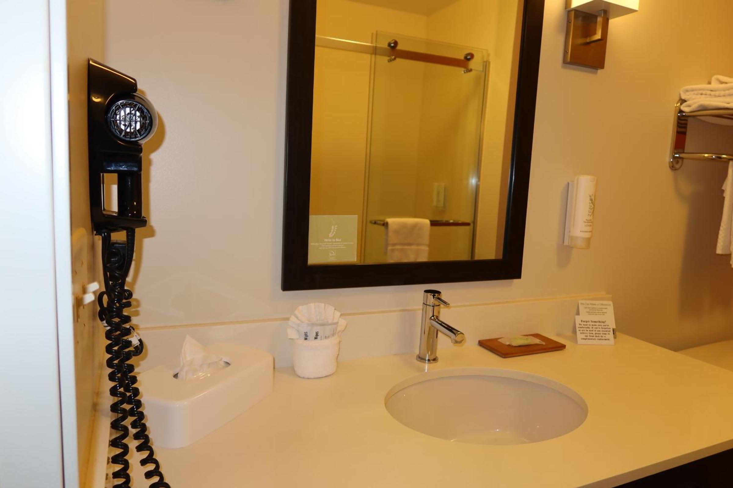 Efficiency Queen Suite with Two Queen Beds - Accessible/Non-Smoking photo 3
