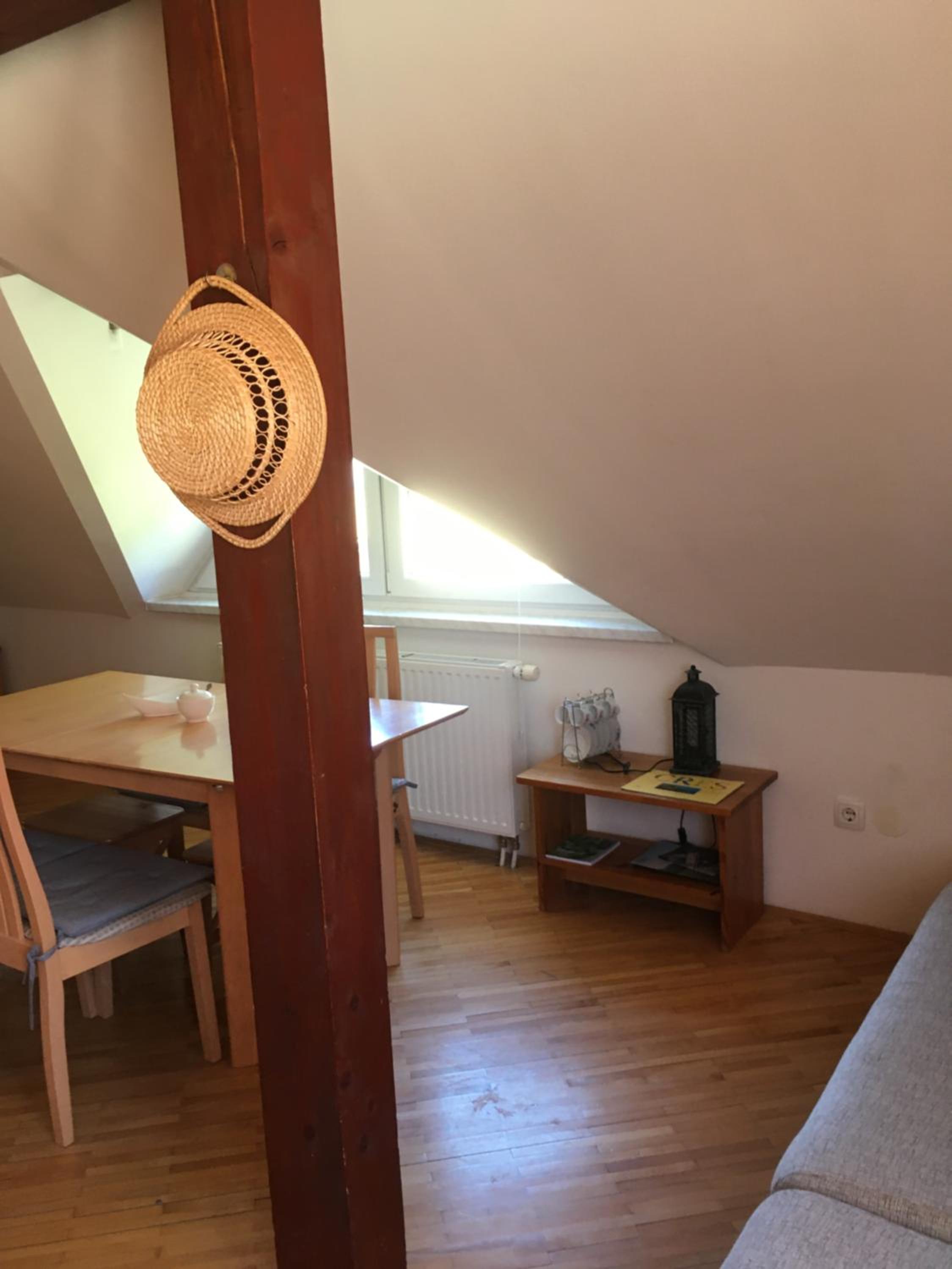 Large One-Bedroom Apartment - Attic - Photo 2