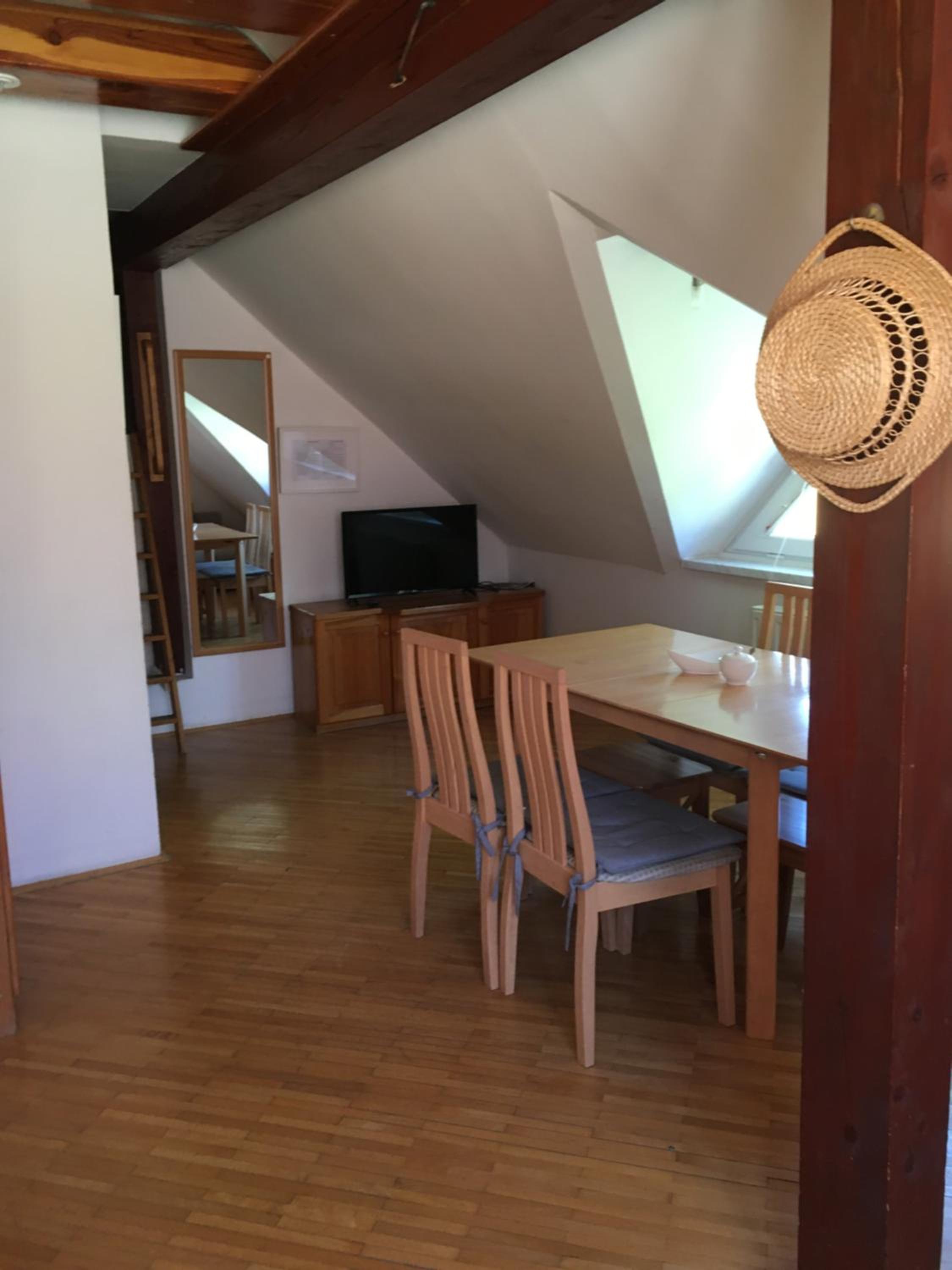 Large One-Bedroom Apartment - Attic - Photo 3