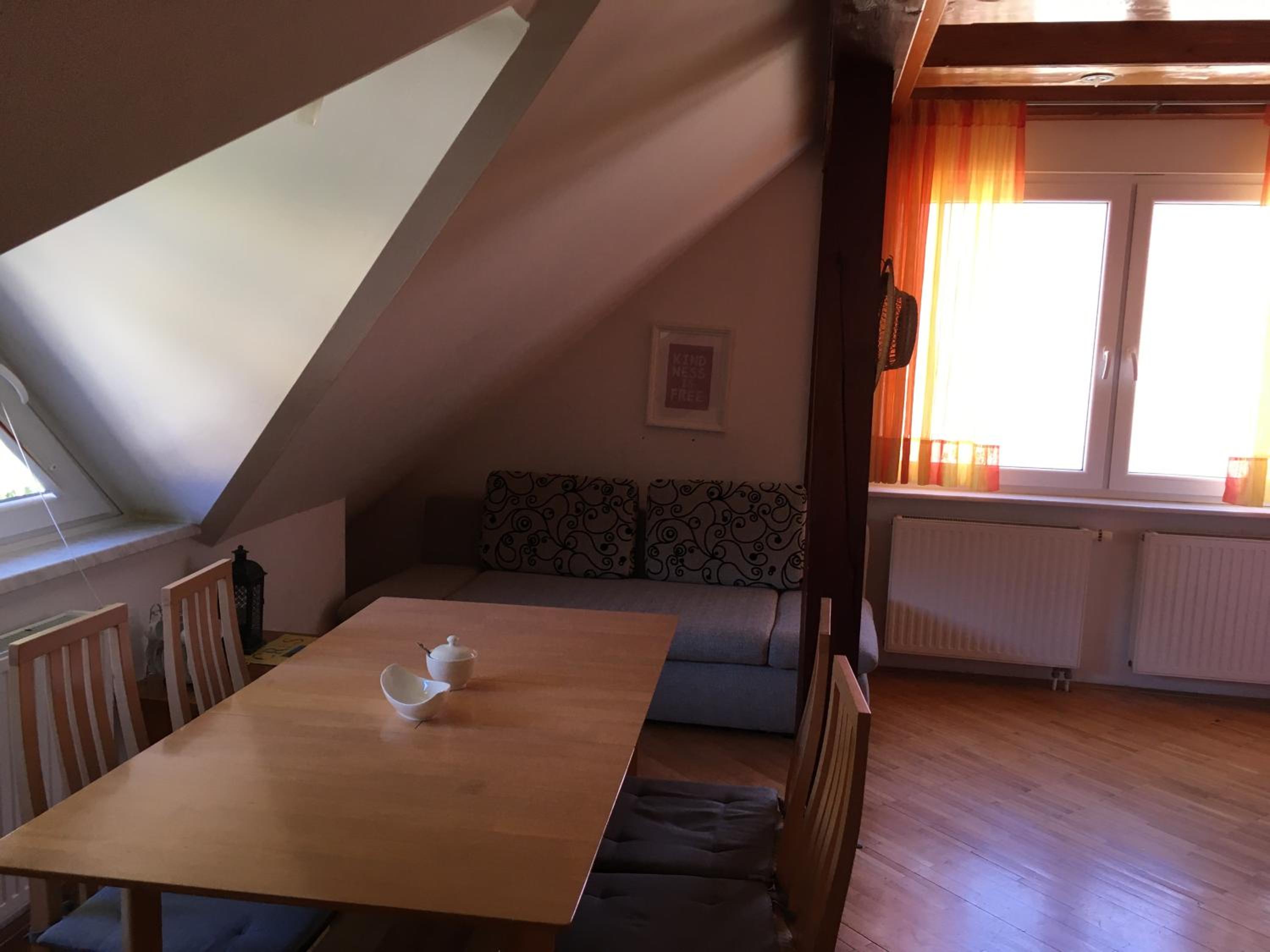 Large One-Bedroom Apartment - Attic - Photo 4