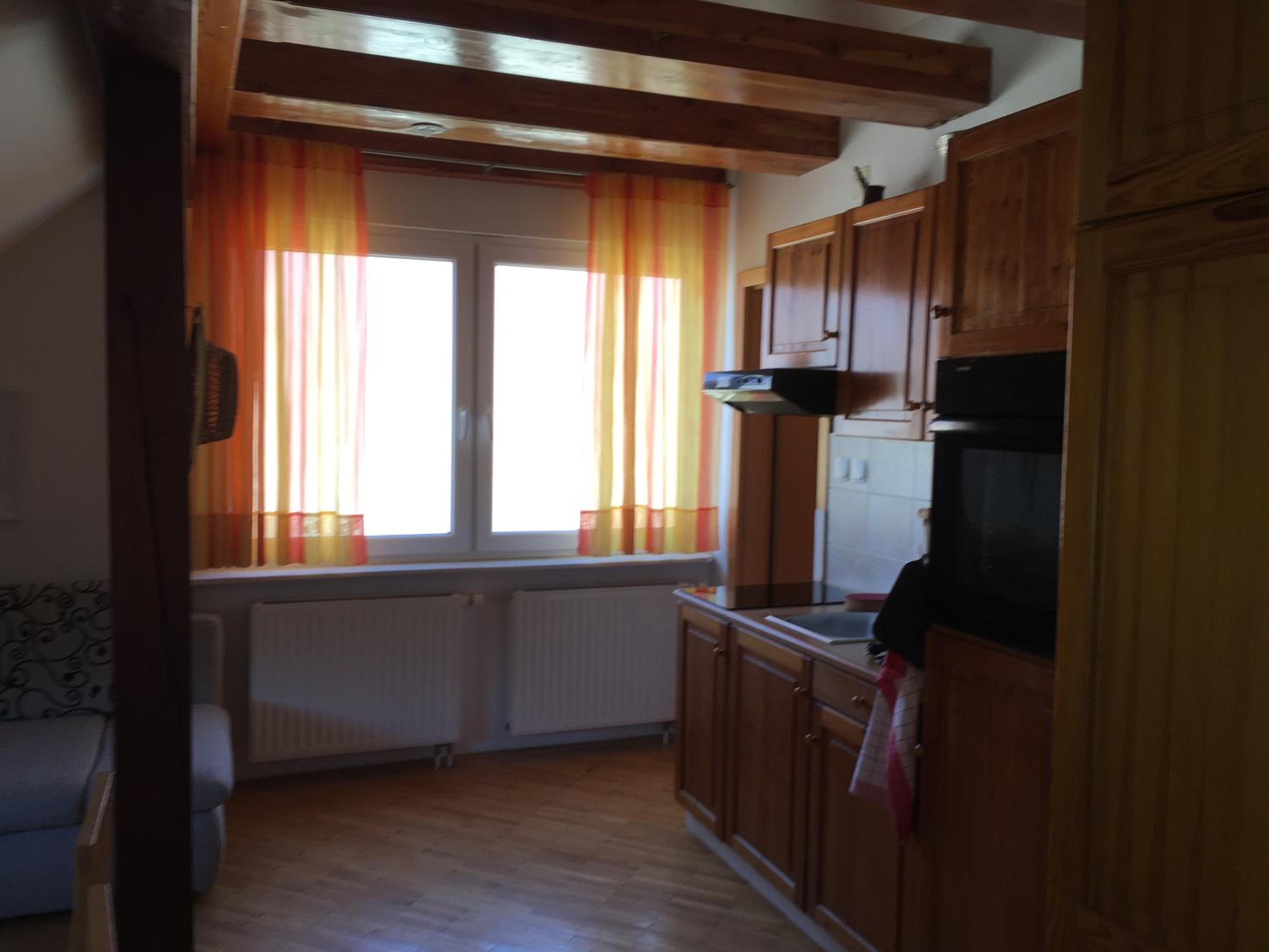Large One-Bedroom Apartment - Attic - Photo 7