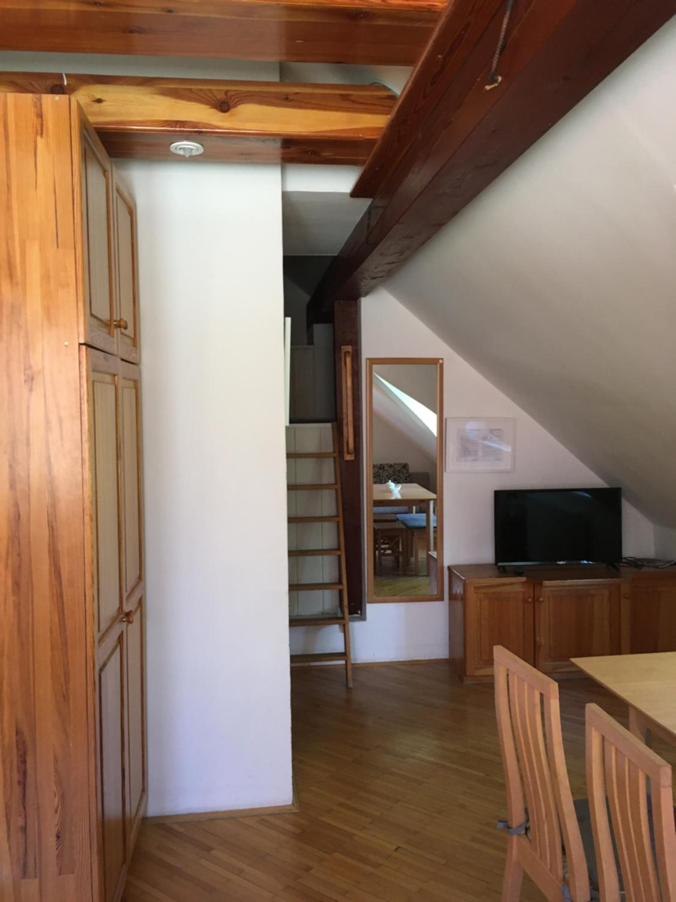 Large One-Bedroom Apartment - Attic - Photo 8