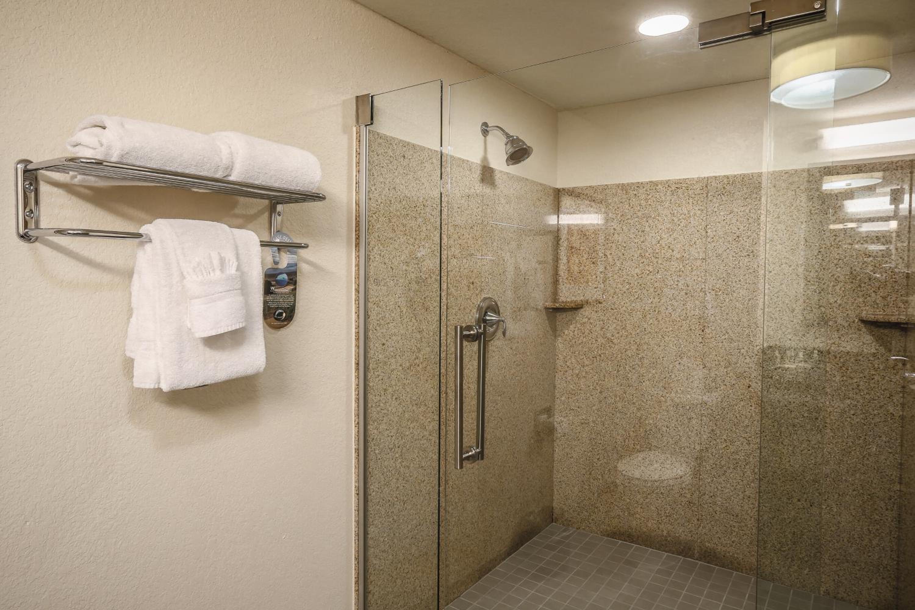 Standard King Room with Walk-In Shower - Photo 3