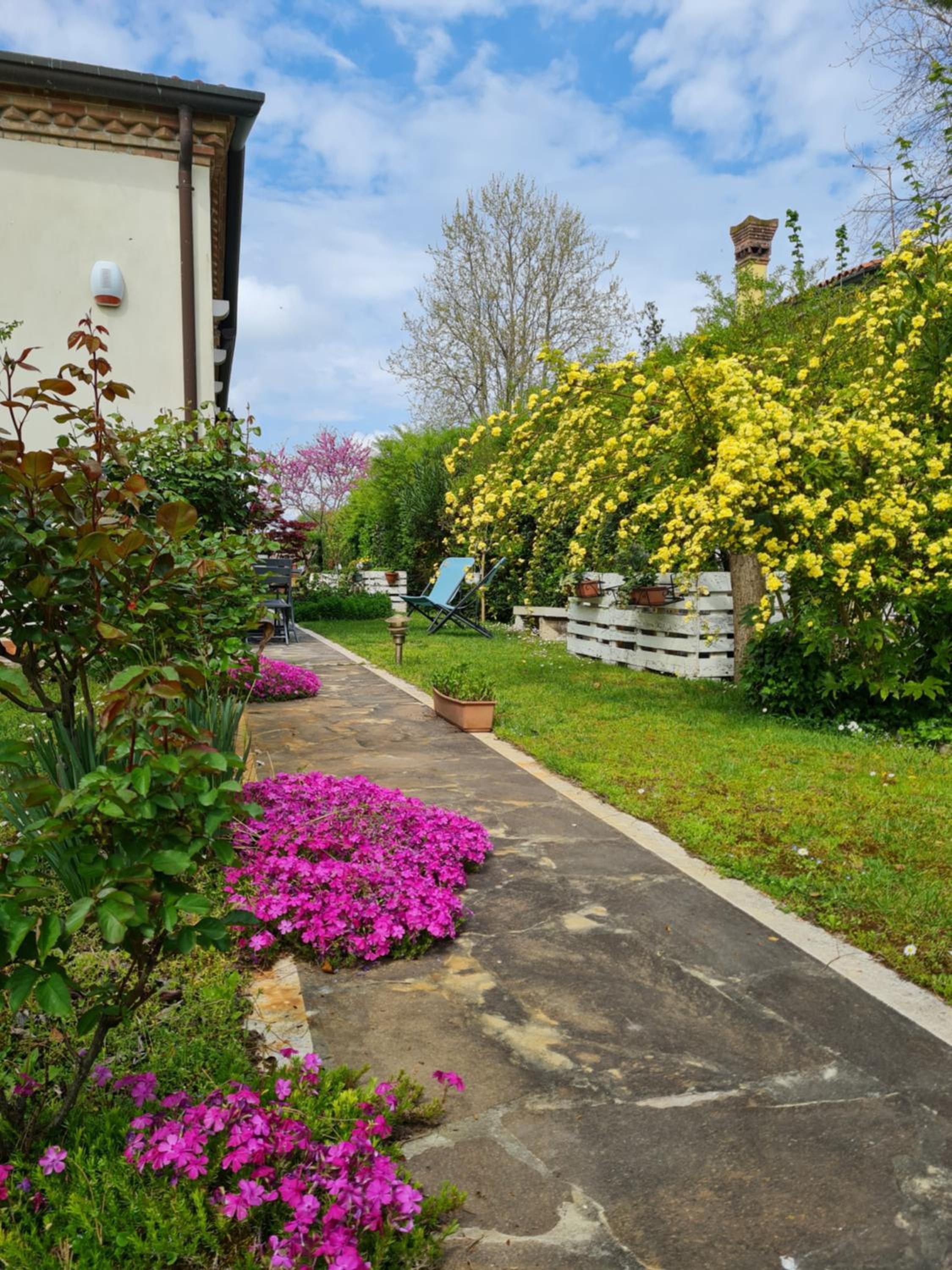 Double Room with Garden View photo 3