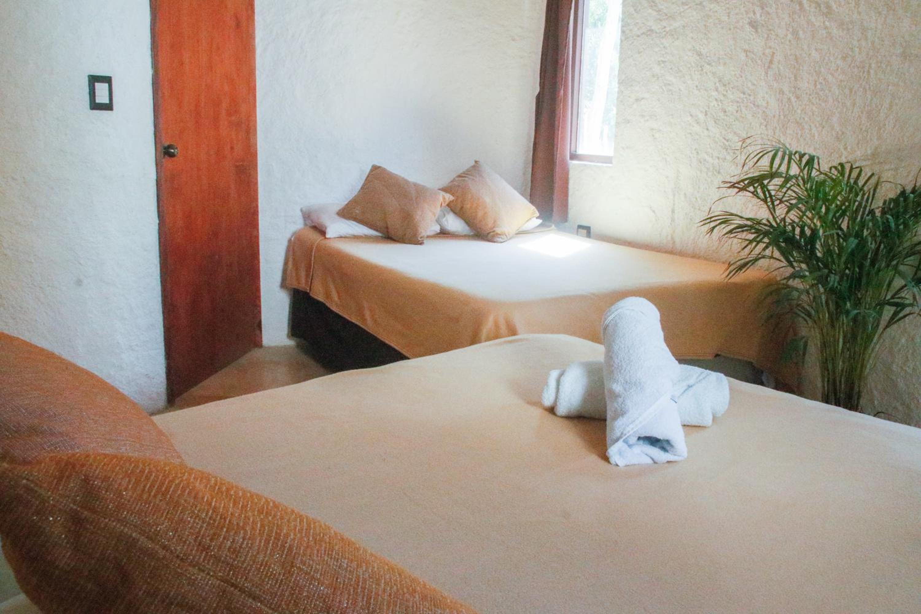 Suite photo 3