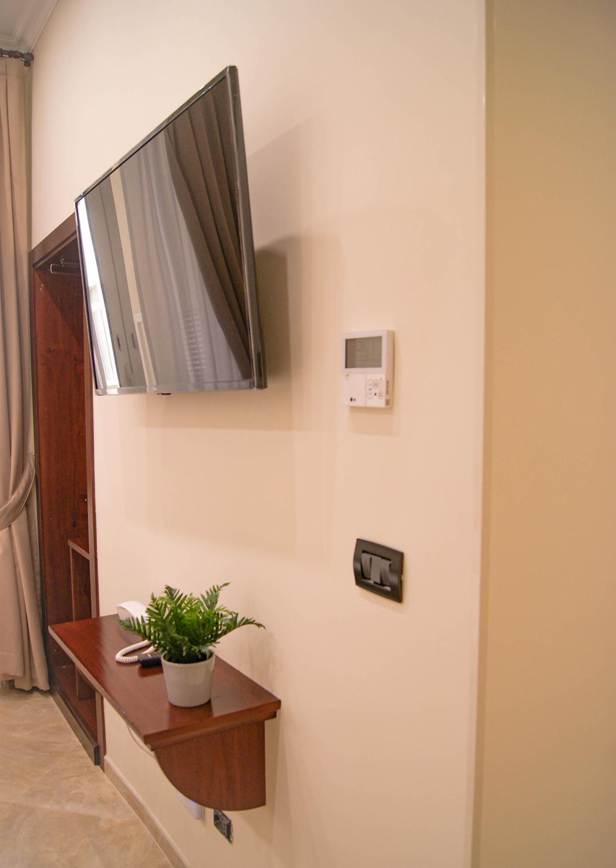 Deluxe Single Room photo 3