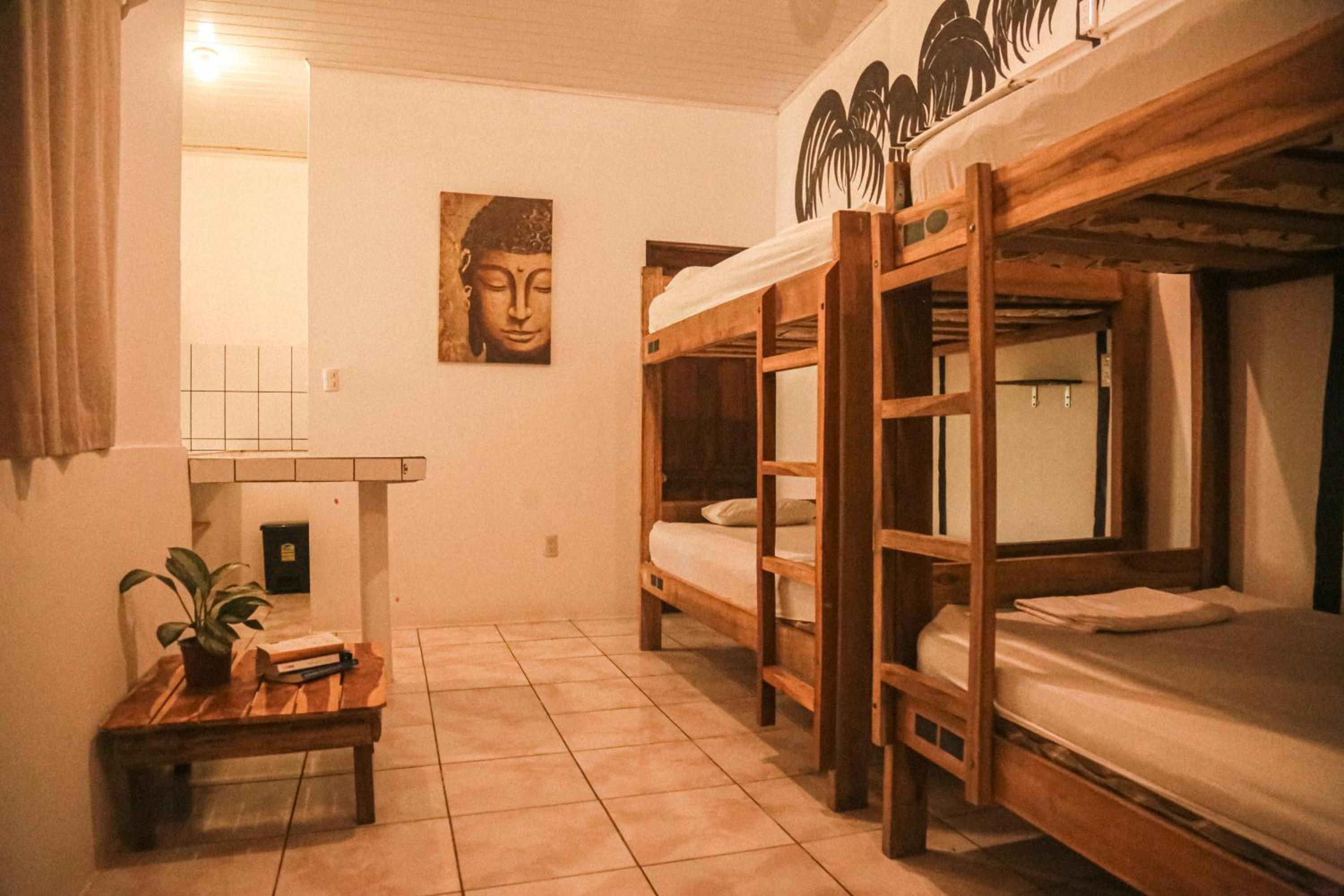 Bed in 6-Bed Female Dormitory Room