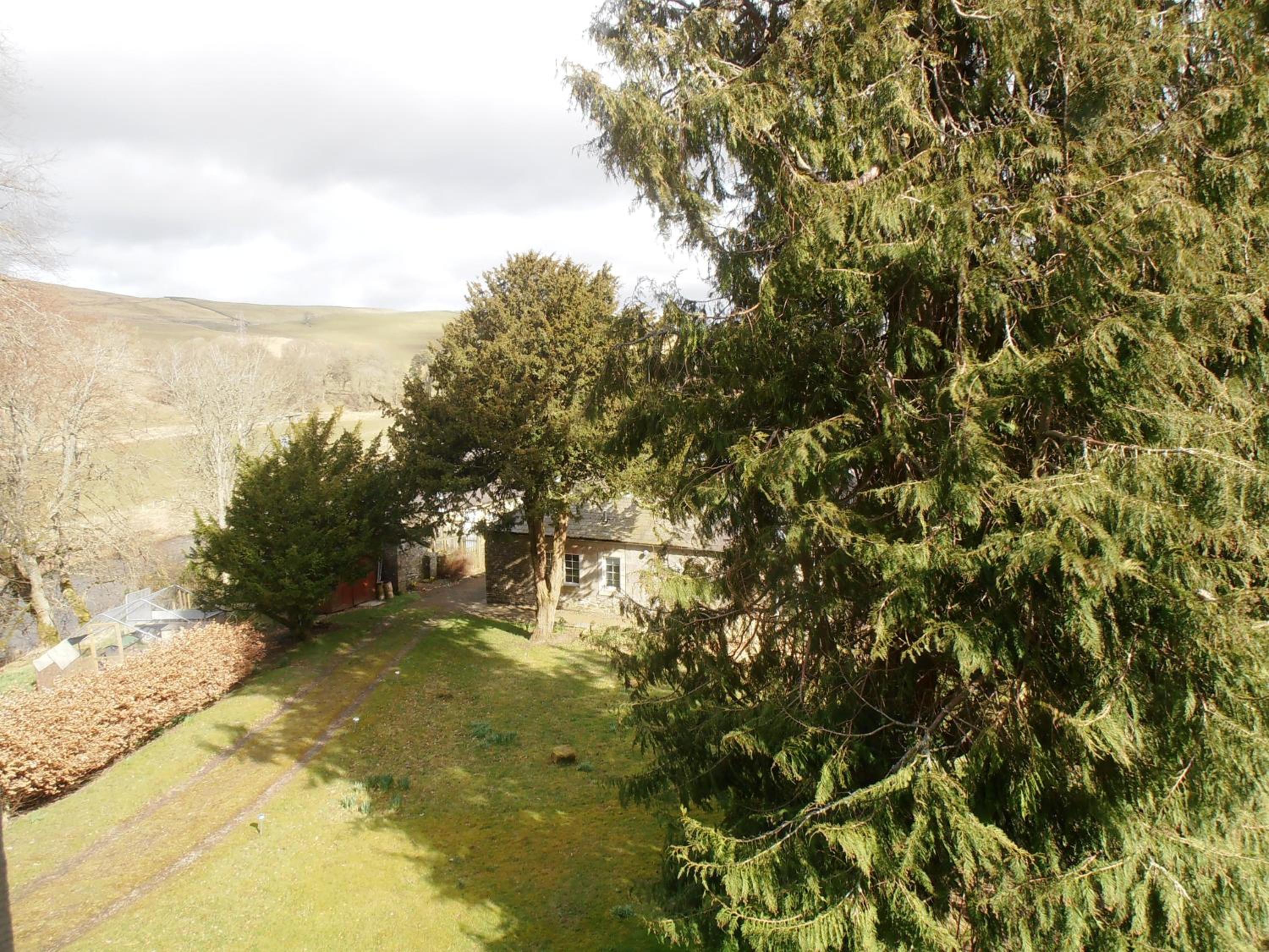 King Room with Garden View - Photo 4